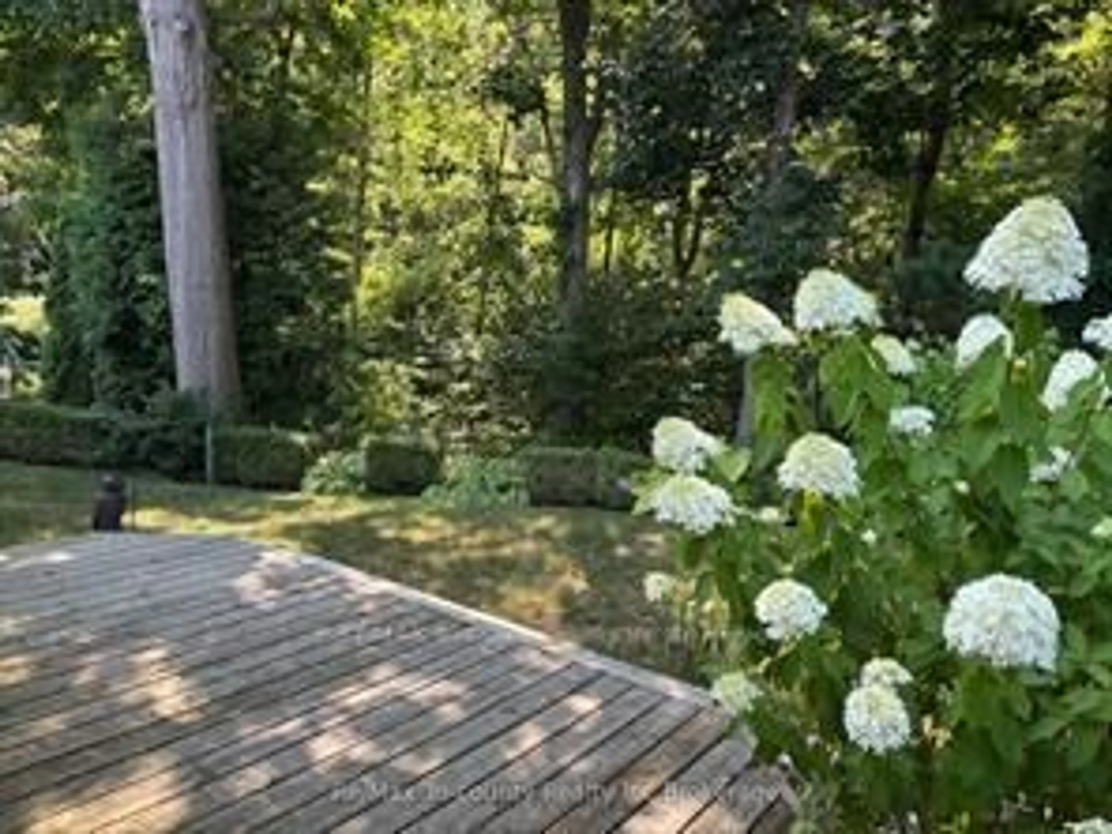 Patio, forest/trees view for 18 Wilkins Cres, Tillsonburg Ontario N4G 5M6