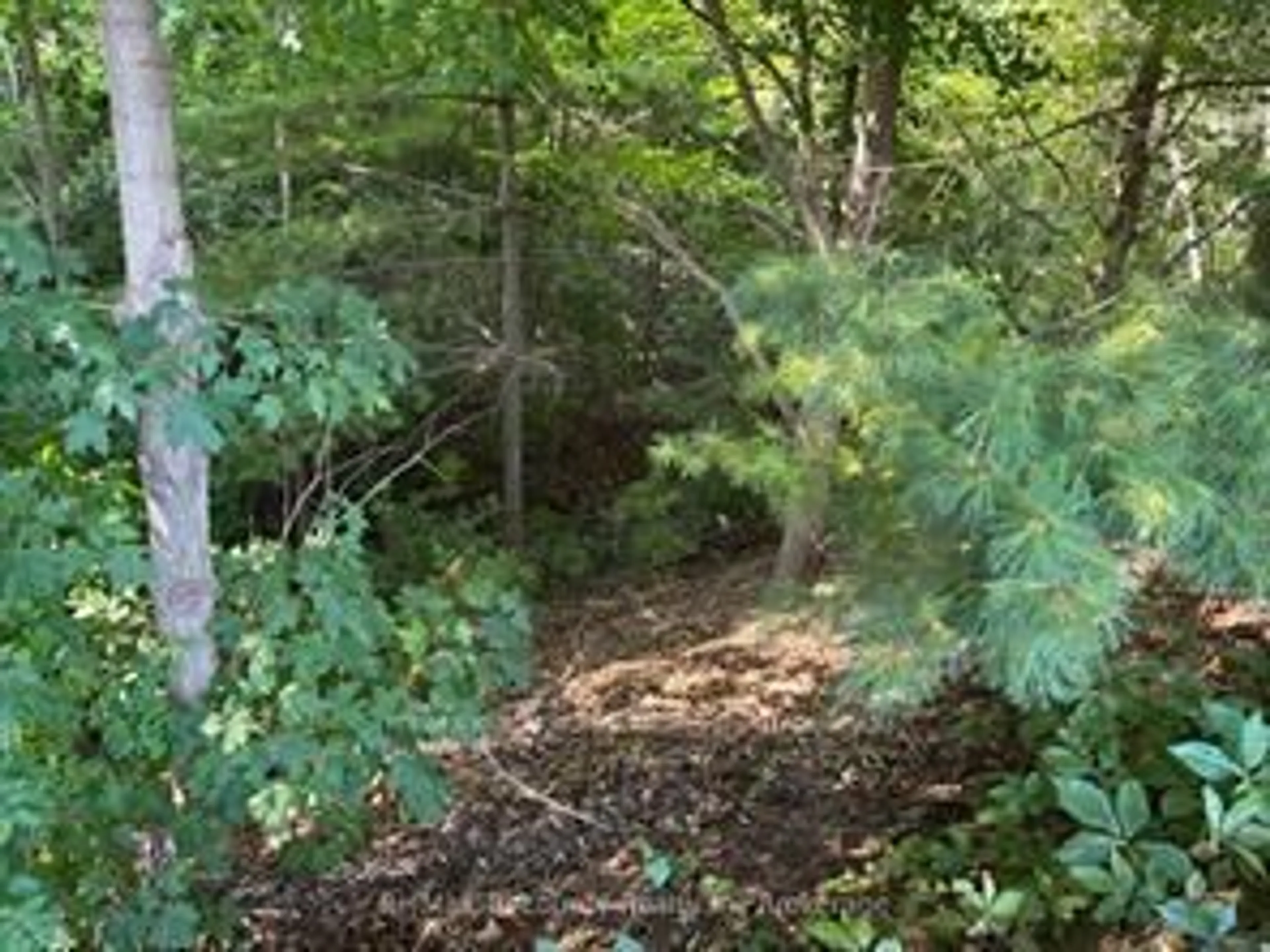 Blurry image for 18 Wilkins Cres, Tillsonburg Ontario N4G 5M6