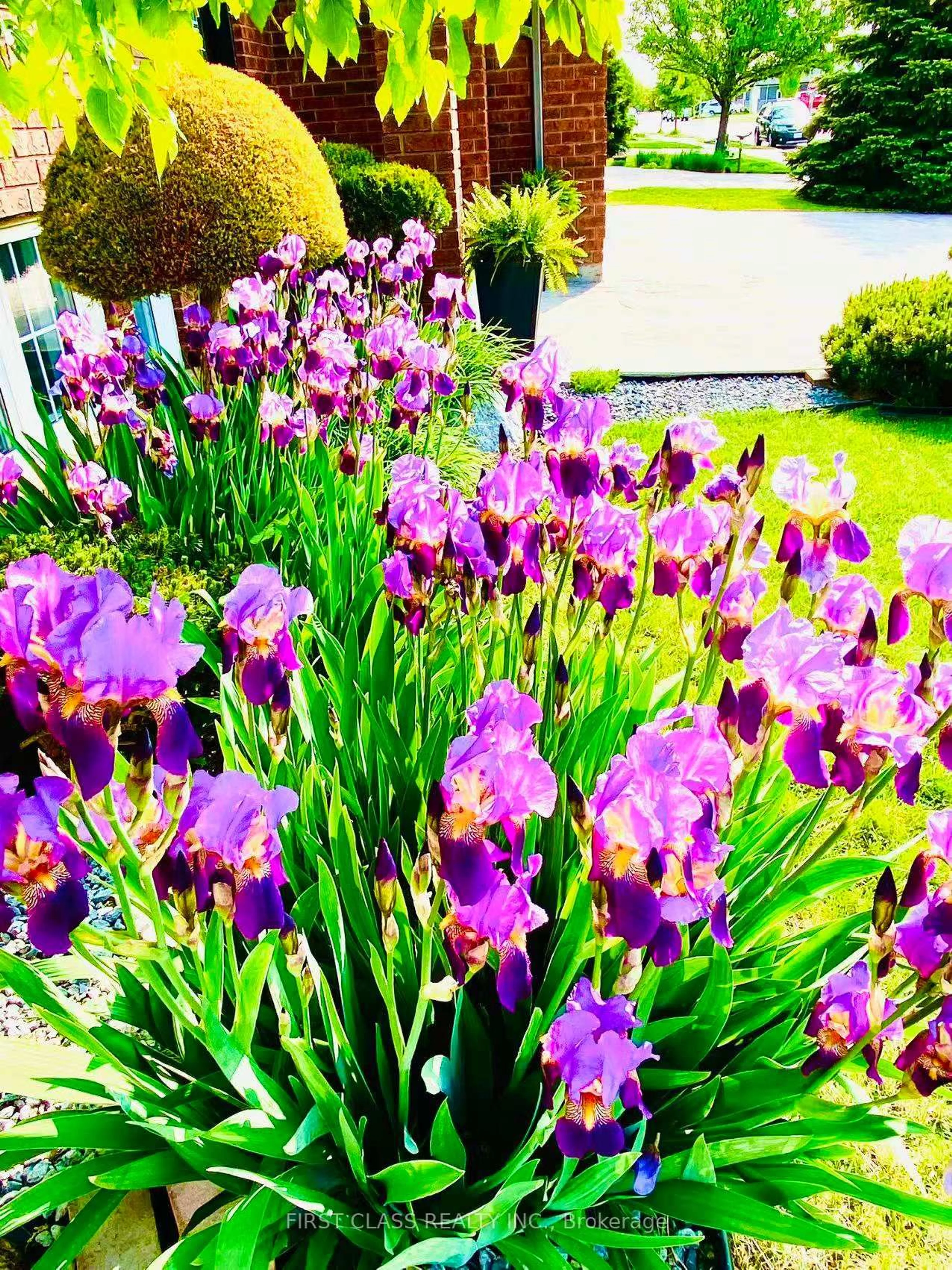 Patio, street for 2570 Skinner St, LaSalle Ontario N9H 2R6