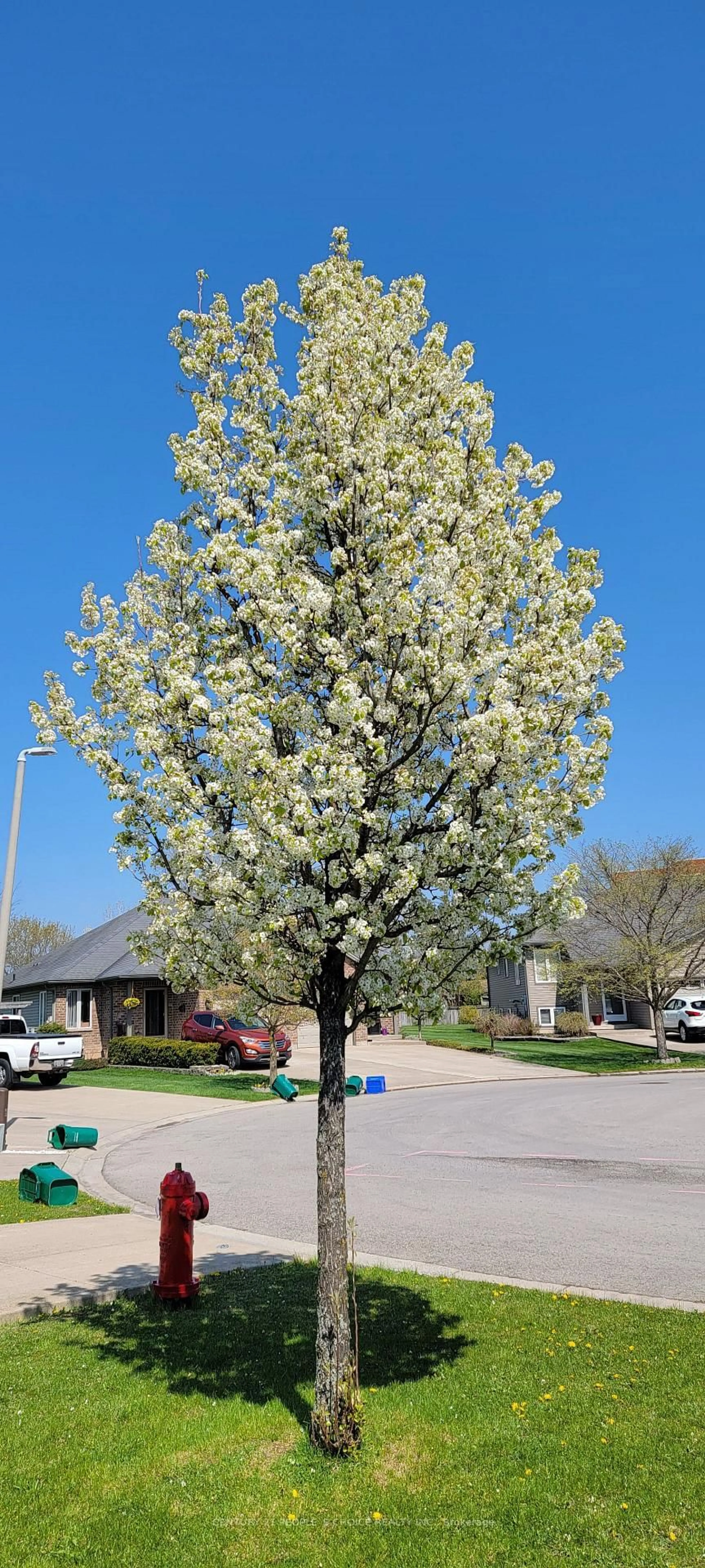 Unknown for 45 NATHALIE Crt, Welland Ontario L3B 6H7