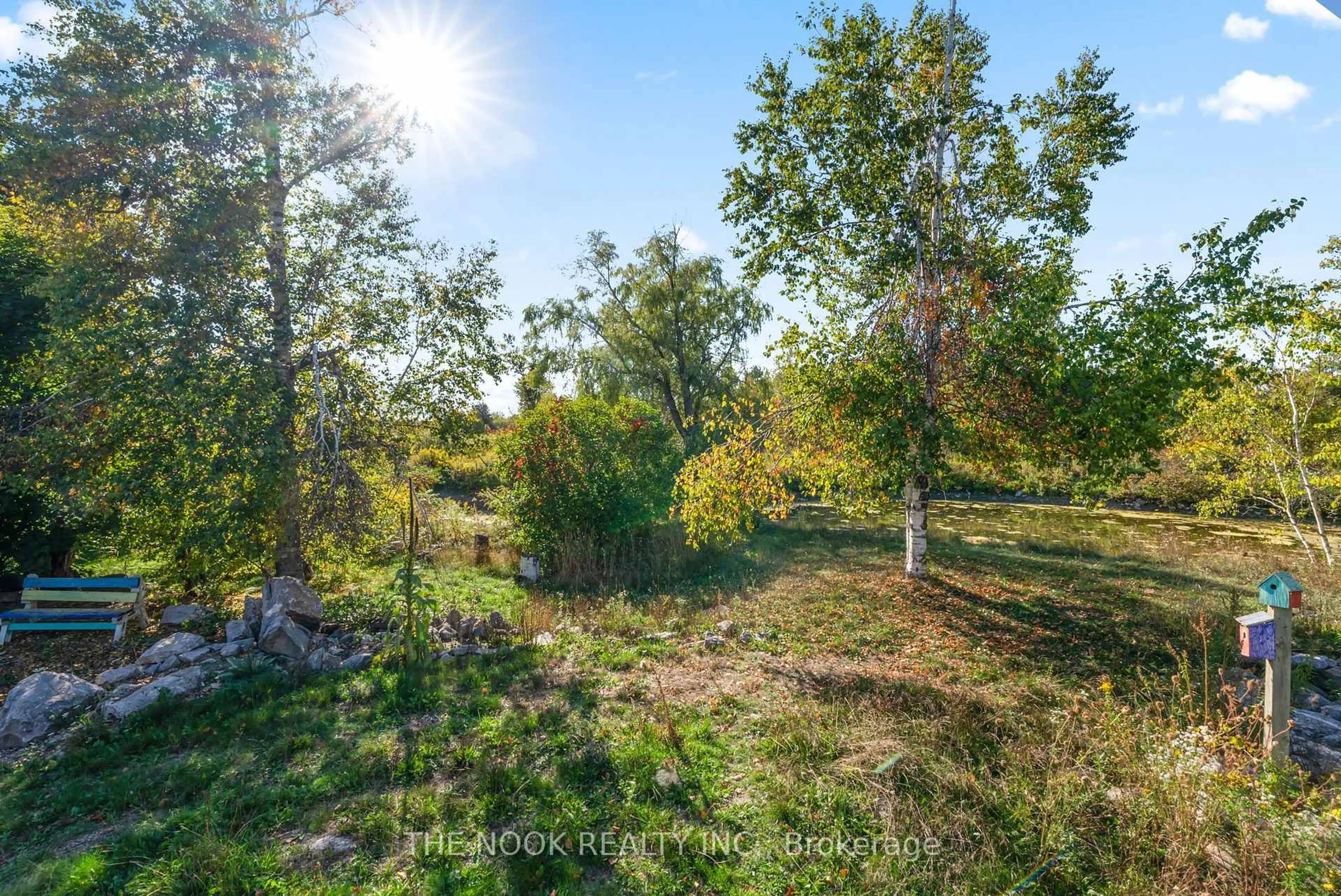 A pic from outside/outdoor area/front of a property/back of a property/a pic from drone, forest/trees view for 46 Mcguire Beach Rd, Kawartha Lakes Ontario K0M 2B0