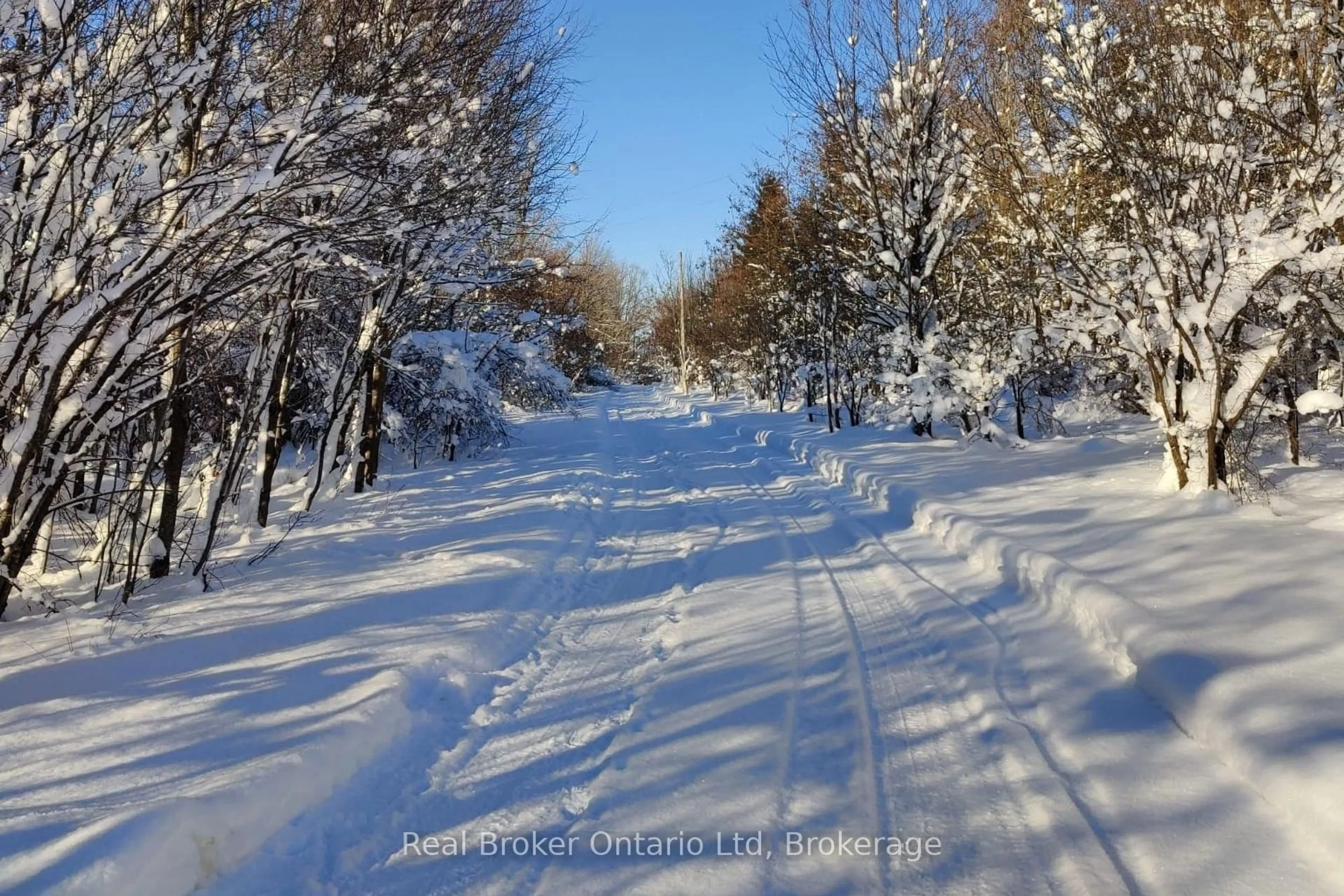 Blurry image for 46447 Old Mail Rd, Meaford Ontario N4L 1W7