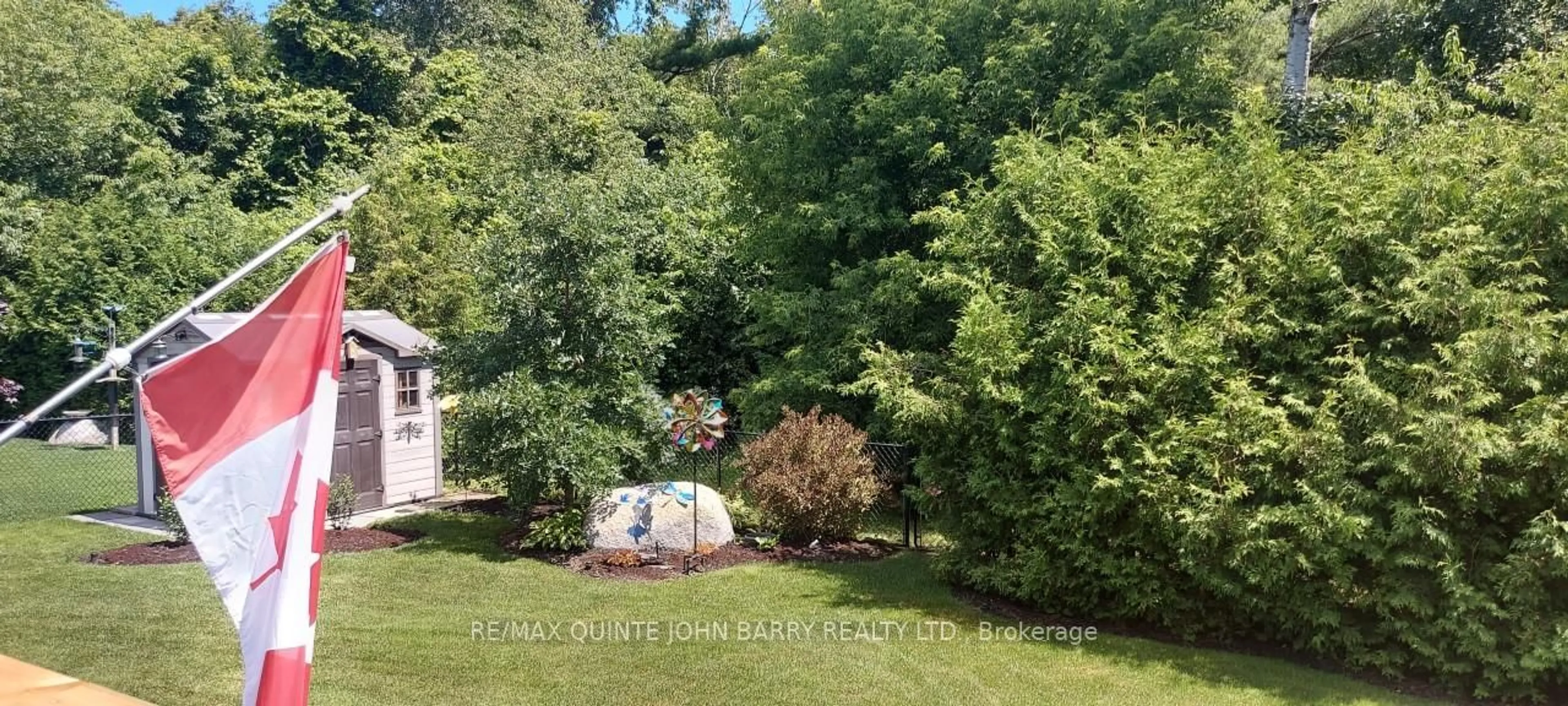 A pic from outside/outdoor area/front of a property/back of a property/a pic from drone, forest/trees view for 11 Algonquin Ave, Brighton Ontario K0K 1H0
