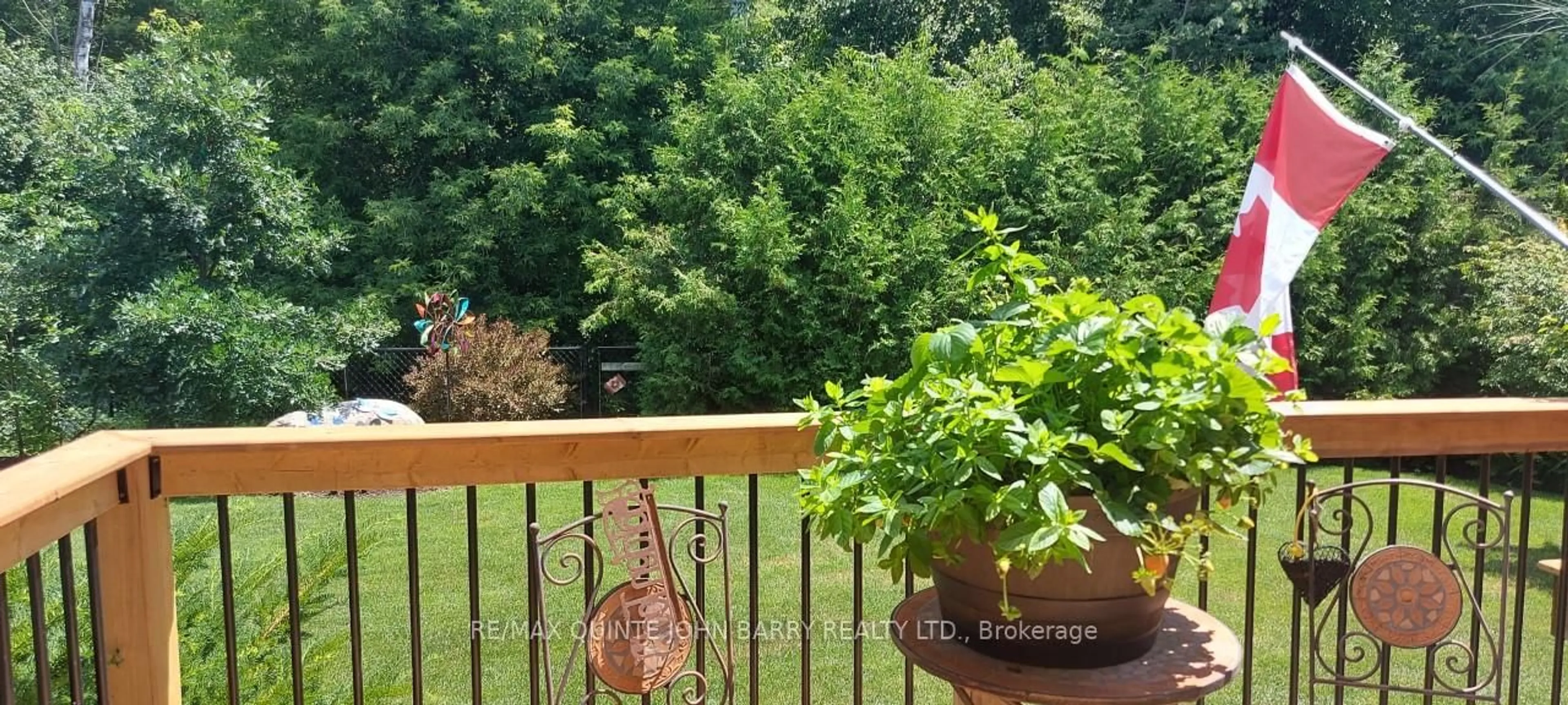 Balcony in the apartment, forest/trees view for 11 Algonquin Ave, Brighton Ontario K0K 1H0