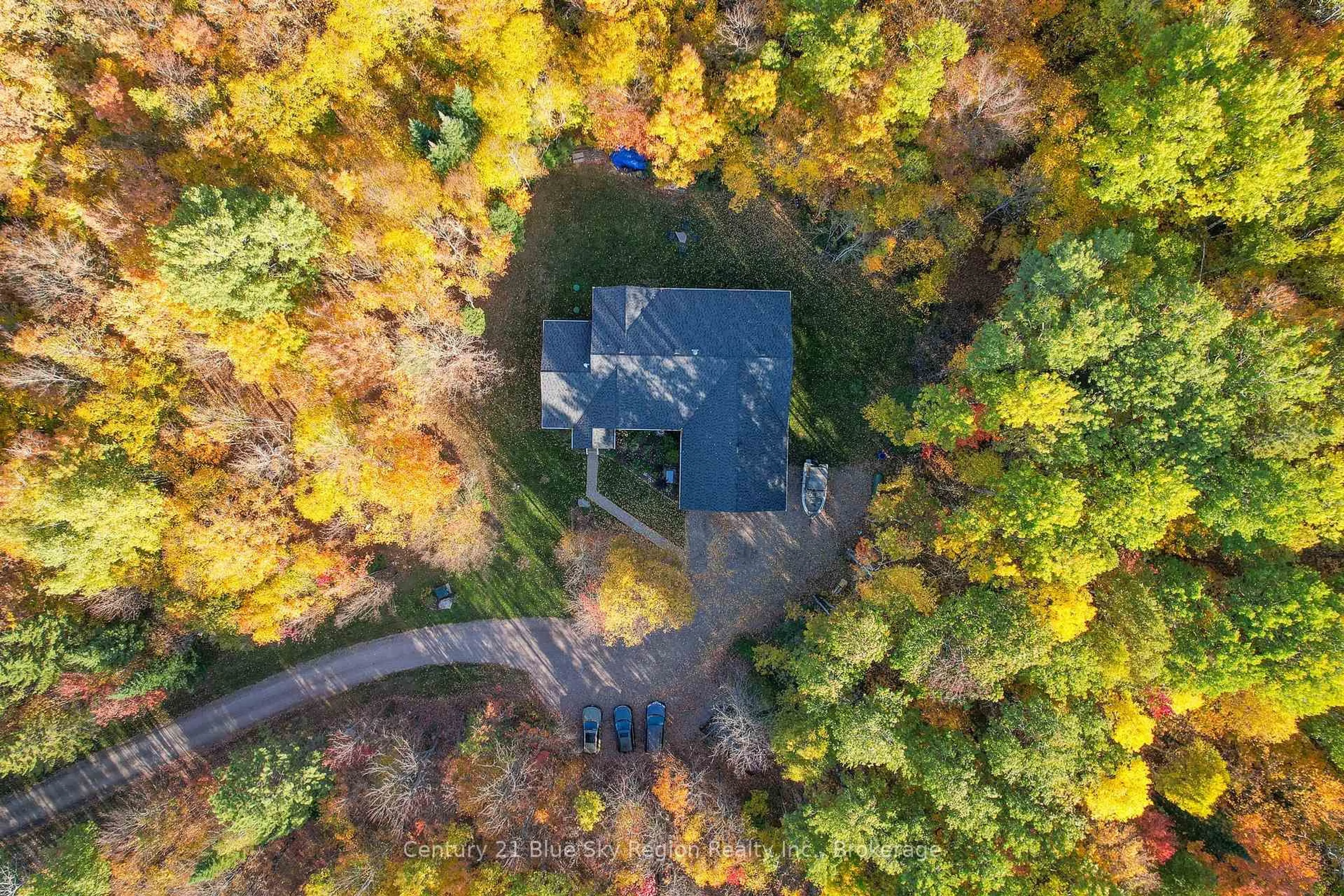 A pic from outside/outdoor area/front of a property/back of a property/a pic from drone, forest/trees view for 503 Ski Hill Rd, Powassan Ontario P0H 1Z0