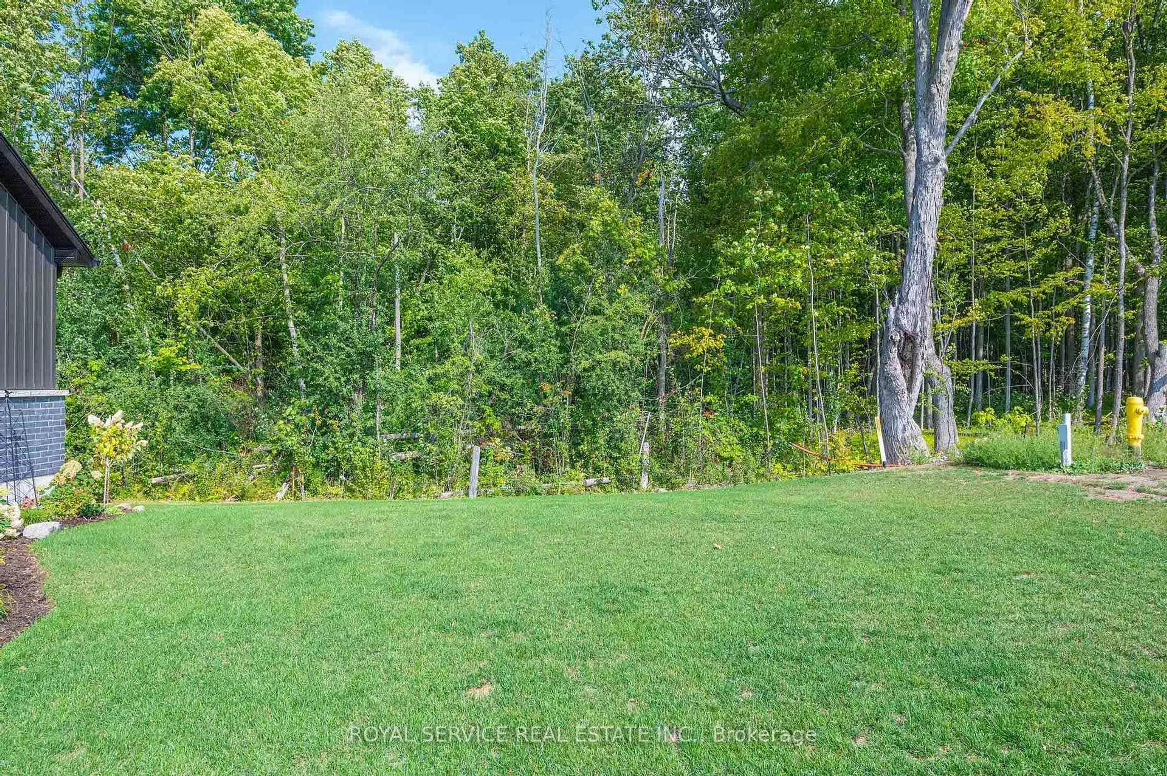 Patio, forest/trees view for 137 Ridgeline Dr, Alnwick/Haldimand Ontario K0K 2G0