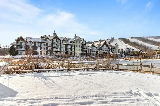 220 Gord Canning Dr #321, Blue Mountains 5
