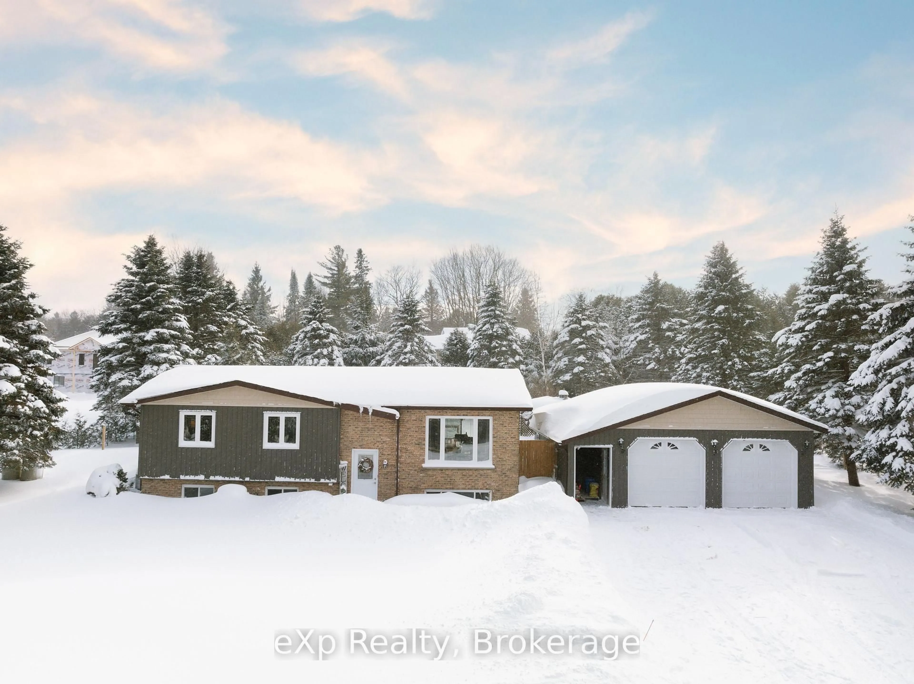 Blurry image for 230 Saugeen St, Grey Highlands Ontario N0C 1K0