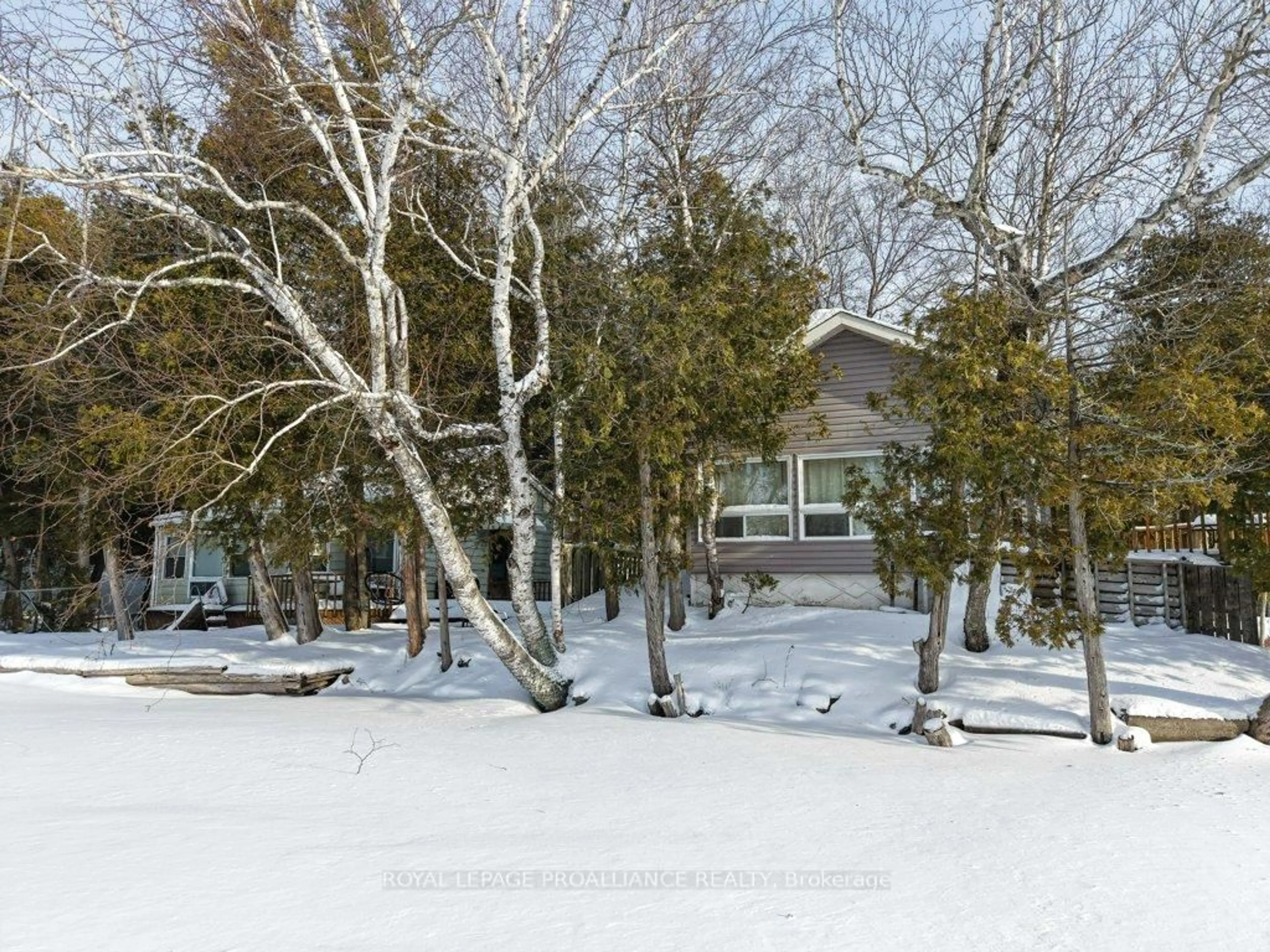 A pic from outside/outdoor area/front of a property/back of a property/a pic from drone, forest/trees view for 24A & 24B Cypress Lane, Stone Mills Ontario K0K 2A0