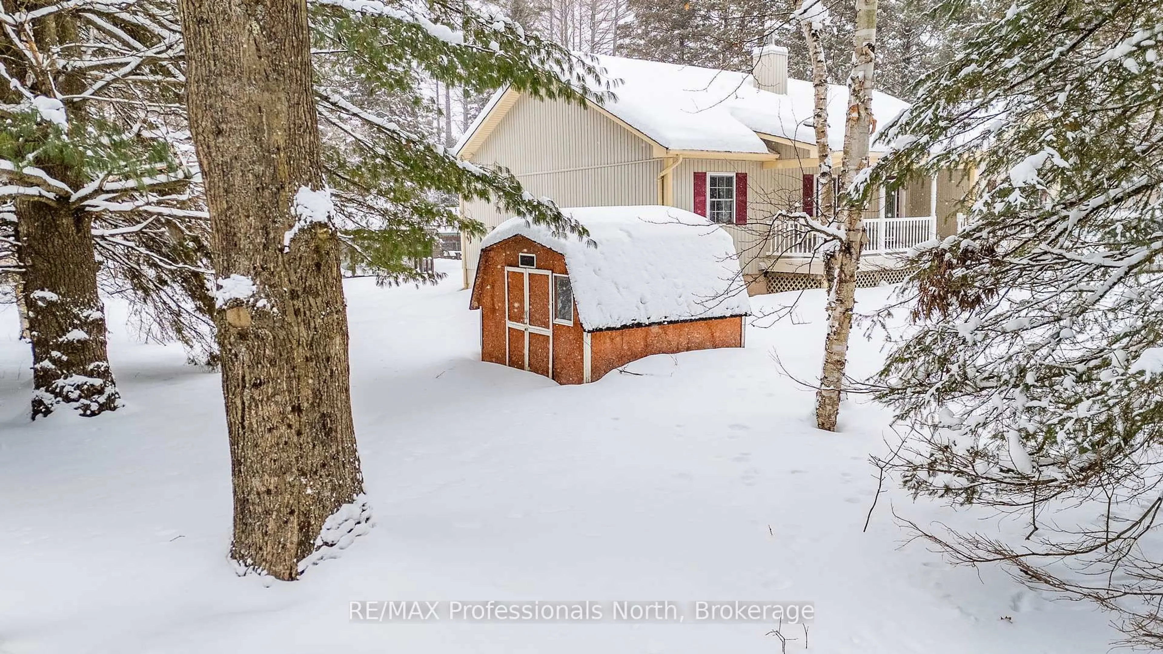 Shed for 73 Invergordon Ave, Minden Hills Ontario K0M 2K0