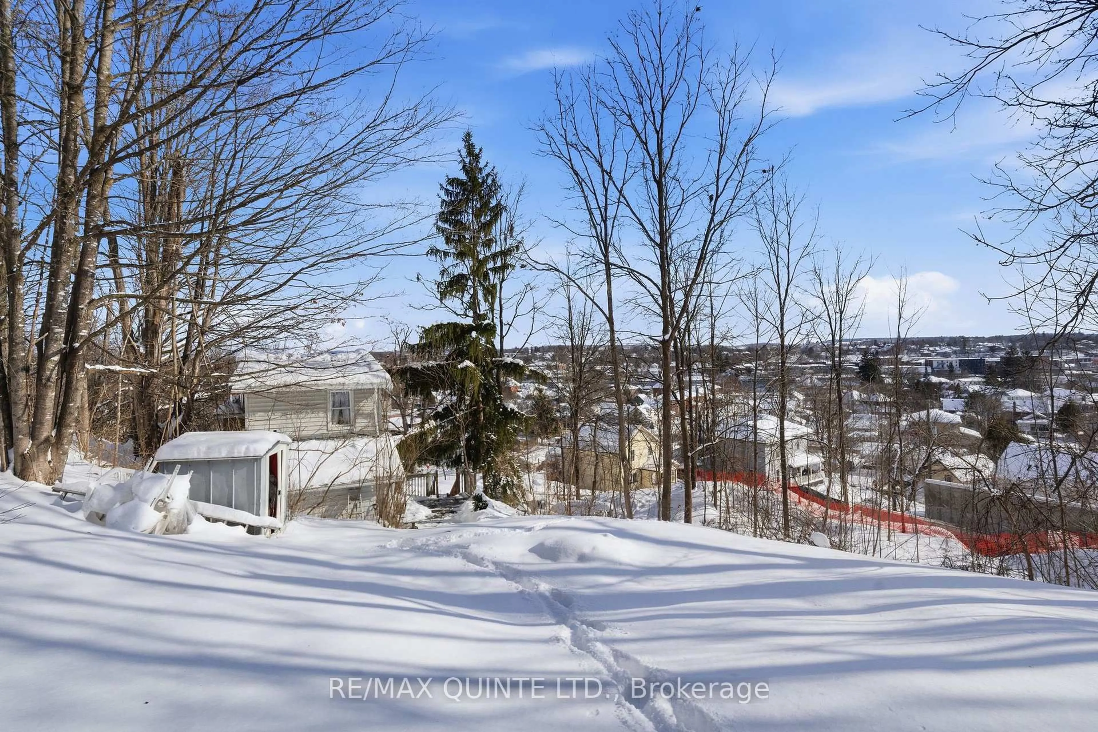 A pic from outside/outdoor area/front of a property/back of a property/a pic from drone, forest/trees view for 94 Maple St, Trent Hills Ontario K0K 1L0
