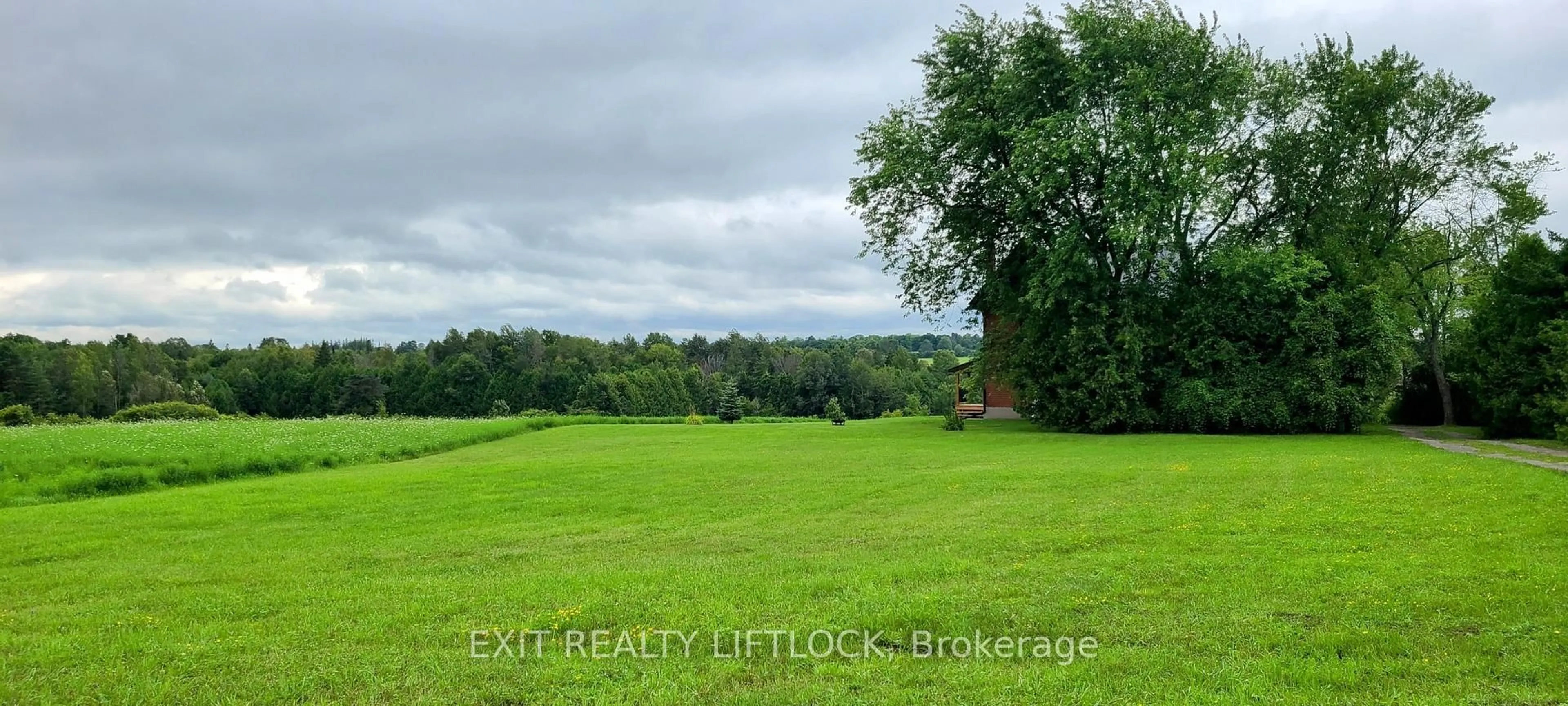 A pic from outside/outdoor area/front of a property/back of a property/a pic from drone, forest/trees view for 4922 Highway 7, Kawartha Lakes Ontario K0L 2W0