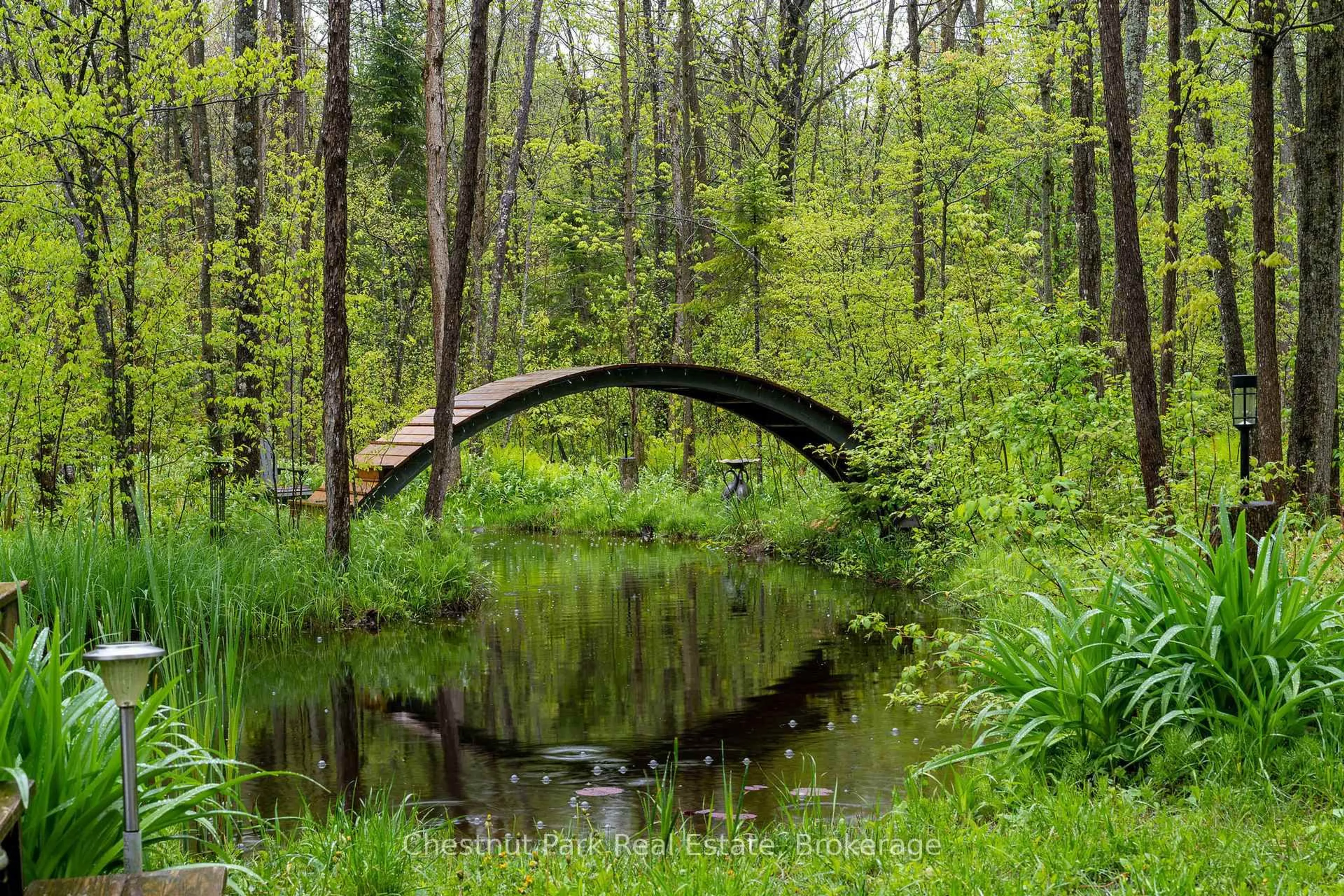 Blurry image for 583724 Sideroad 60, Chatsworth Ontario N0H 1R0