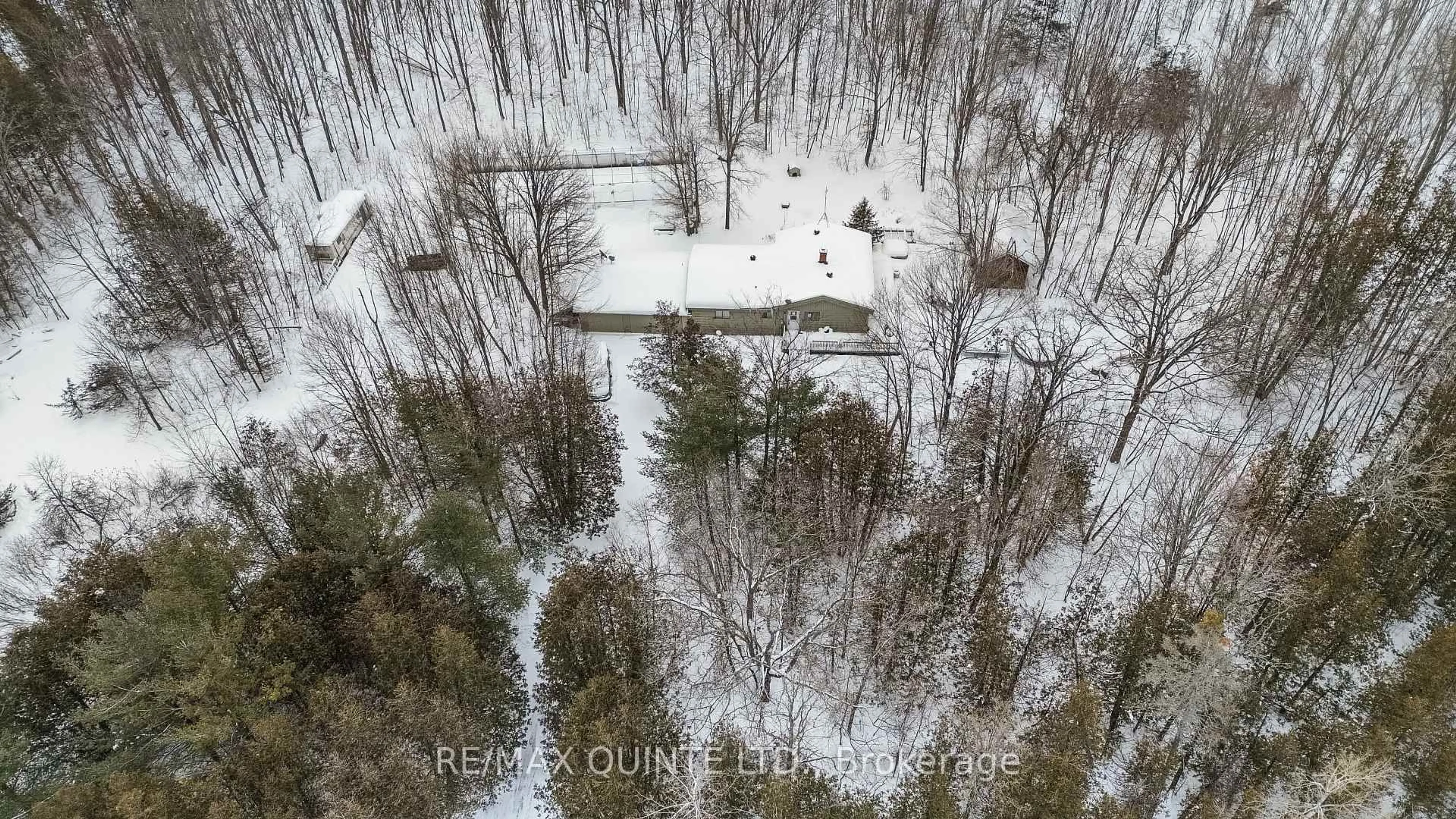 A pic from outside/outdoor area/front of a property/back of a property/a pic from drone, forest/trees view for 597 Harold Rd, Stirling Ontario K0K 3E0
