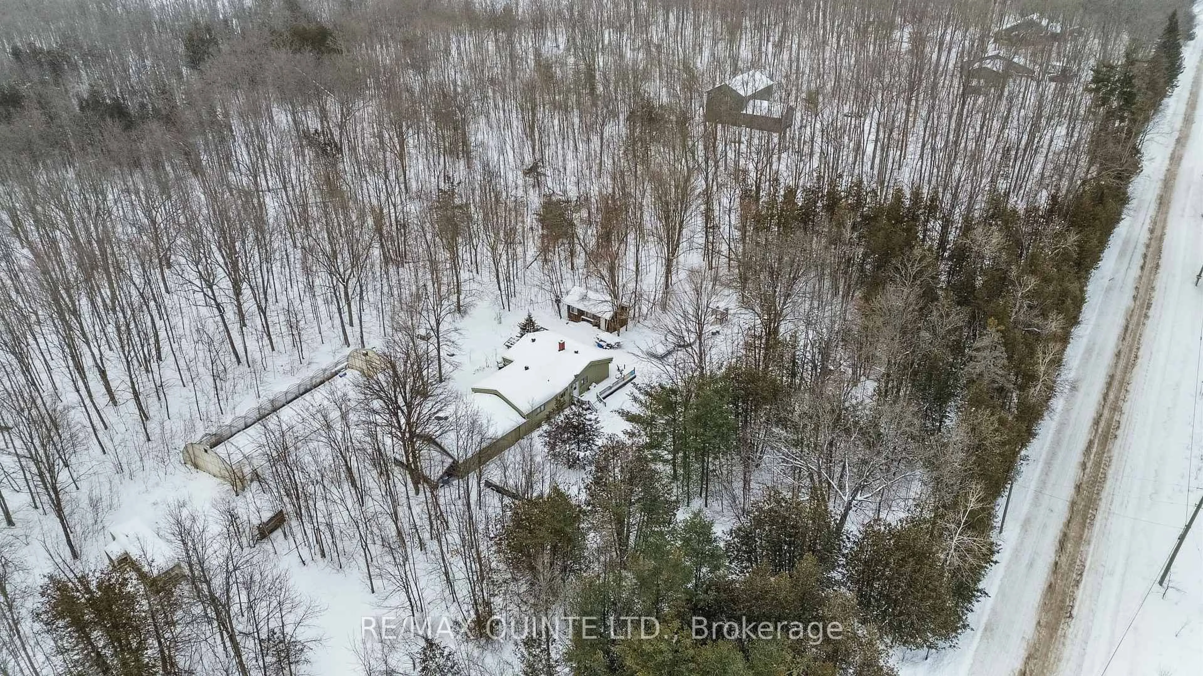 A pic from outside/outdoor area/front of a property/back of a property/a pic from drone, forest/trees view for 597 Harold Rd, Stirling Ontario K0K 3E0