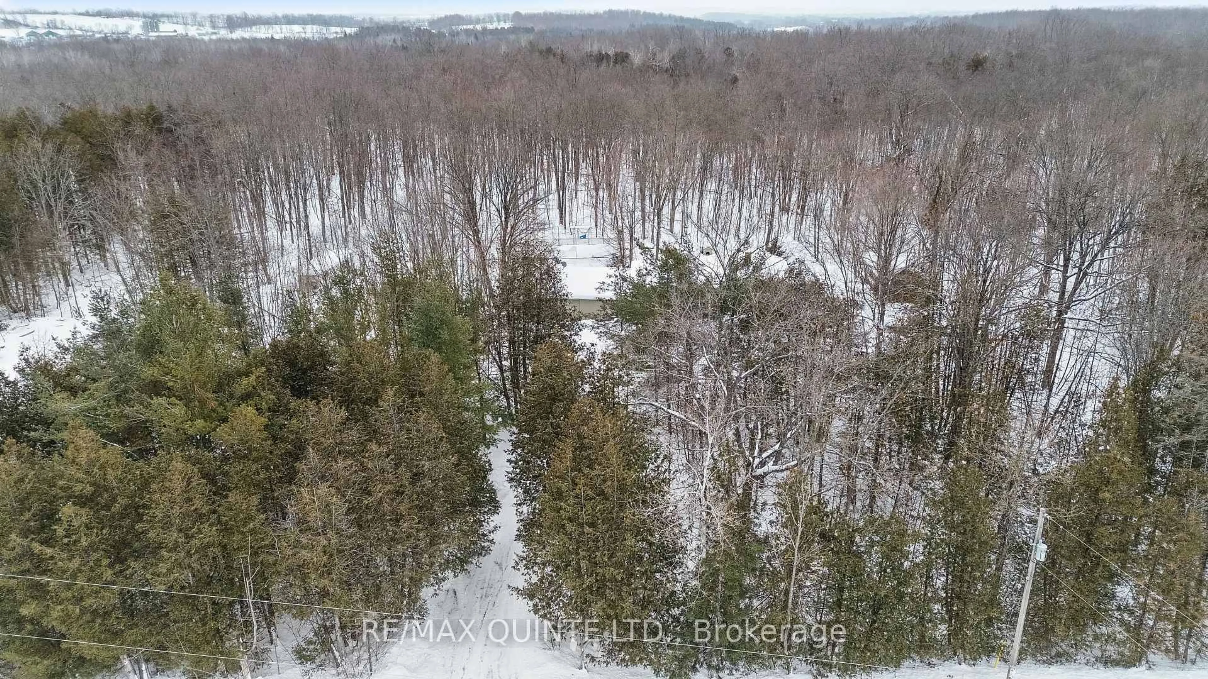 A pic from outside/outdoor area/front of a property/back of a property/a pic from drone, forest/trees view for 597 Harold Rd, Stirling Ontario K0K 3E0