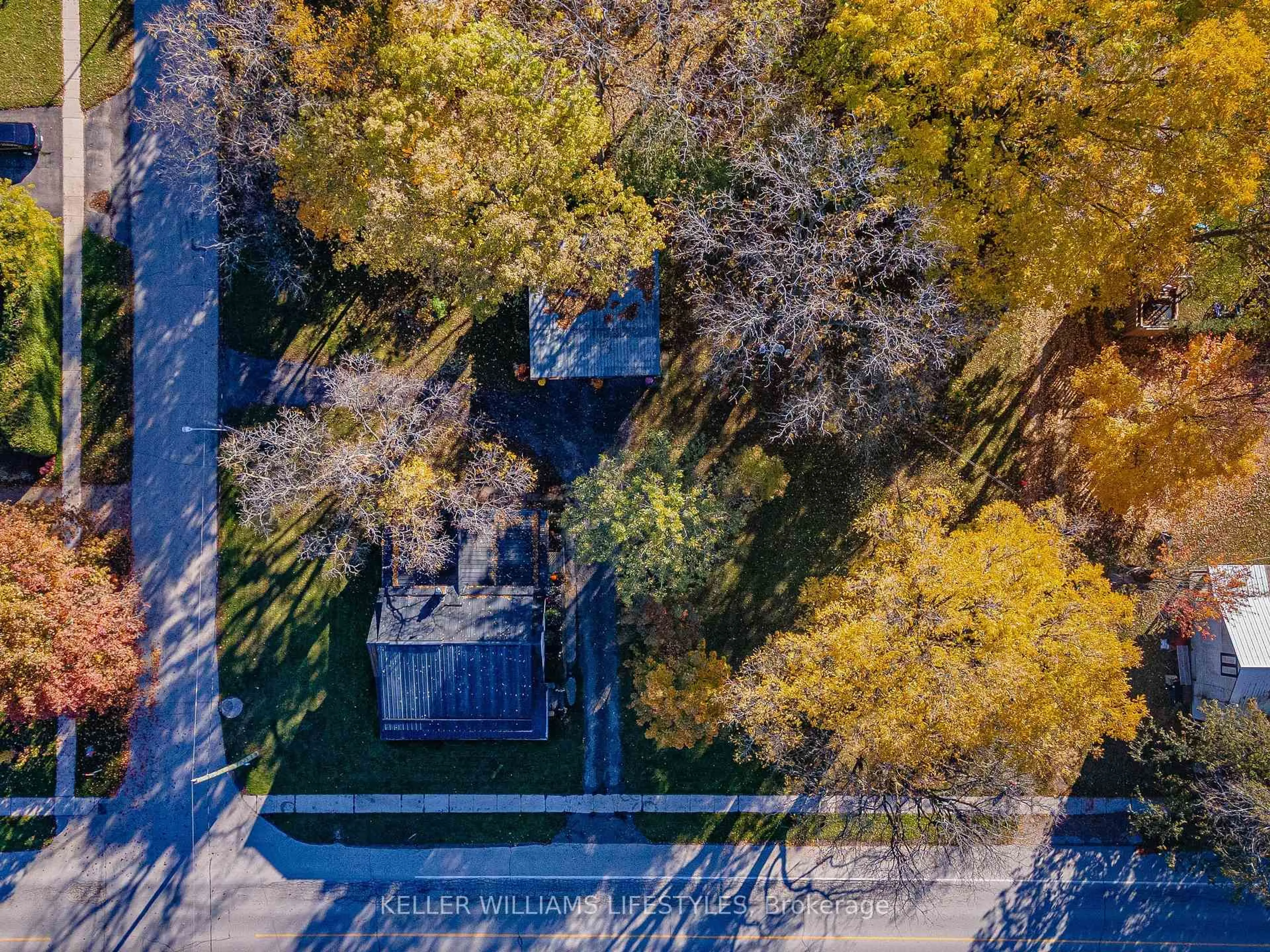 A pic from outside/outdoor area/front of a property/back of a property/a pic from drone, forest/trees view for 136 Queen St, North Middlesex Ontario N0M 1A0