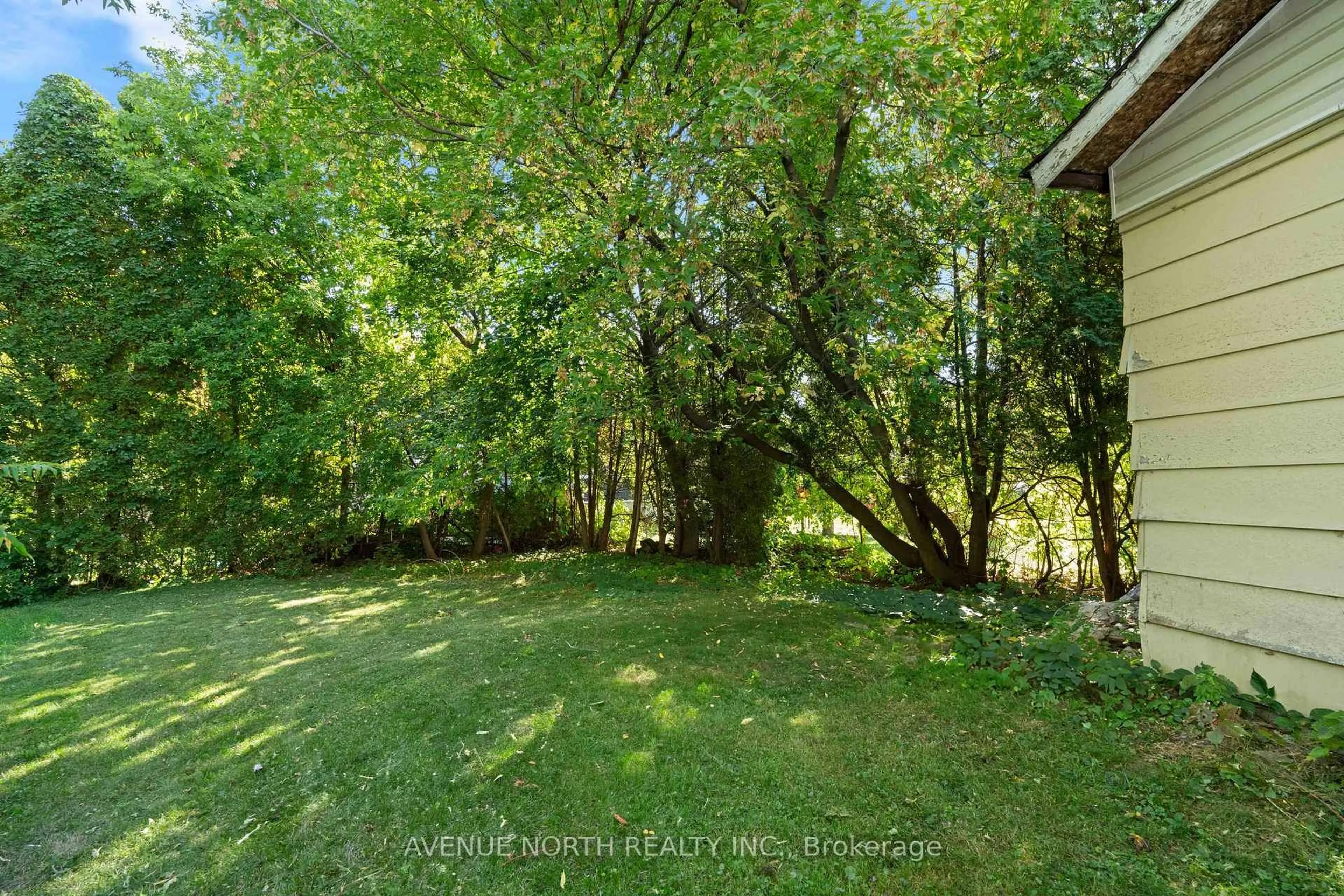 A pic from outside/outdoor area/front of a property/back of a property/a pic from drone, forest/trees view for 117 Bedford St, Cornwall Ontario K6J 4B8