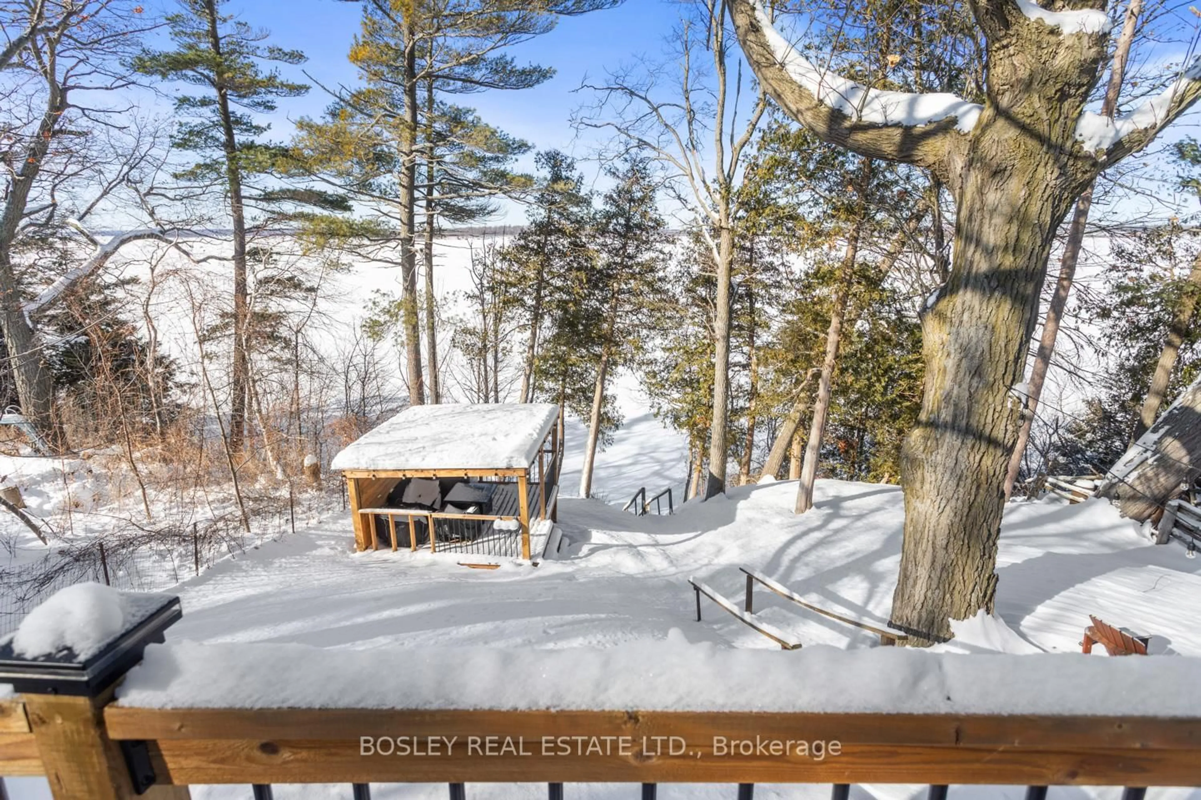 A pic from outside/outdoor area/front of a property/back of a property/a pic from drone, forest/trees view for 6812 Shearer Point Rd, Alnwick/Haldimand Ontario K0K 2X0