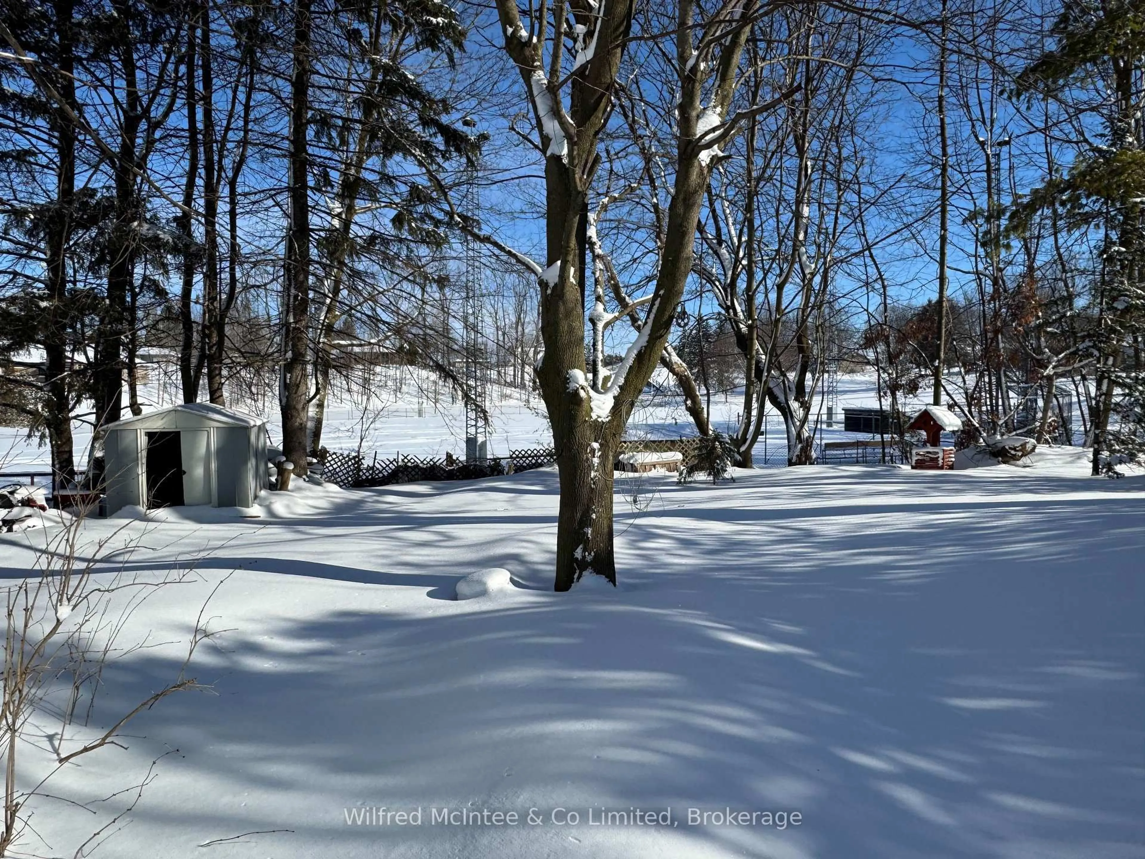 Blurry image for 11 Simpson St, South Bruce Ontario N0G 2J0