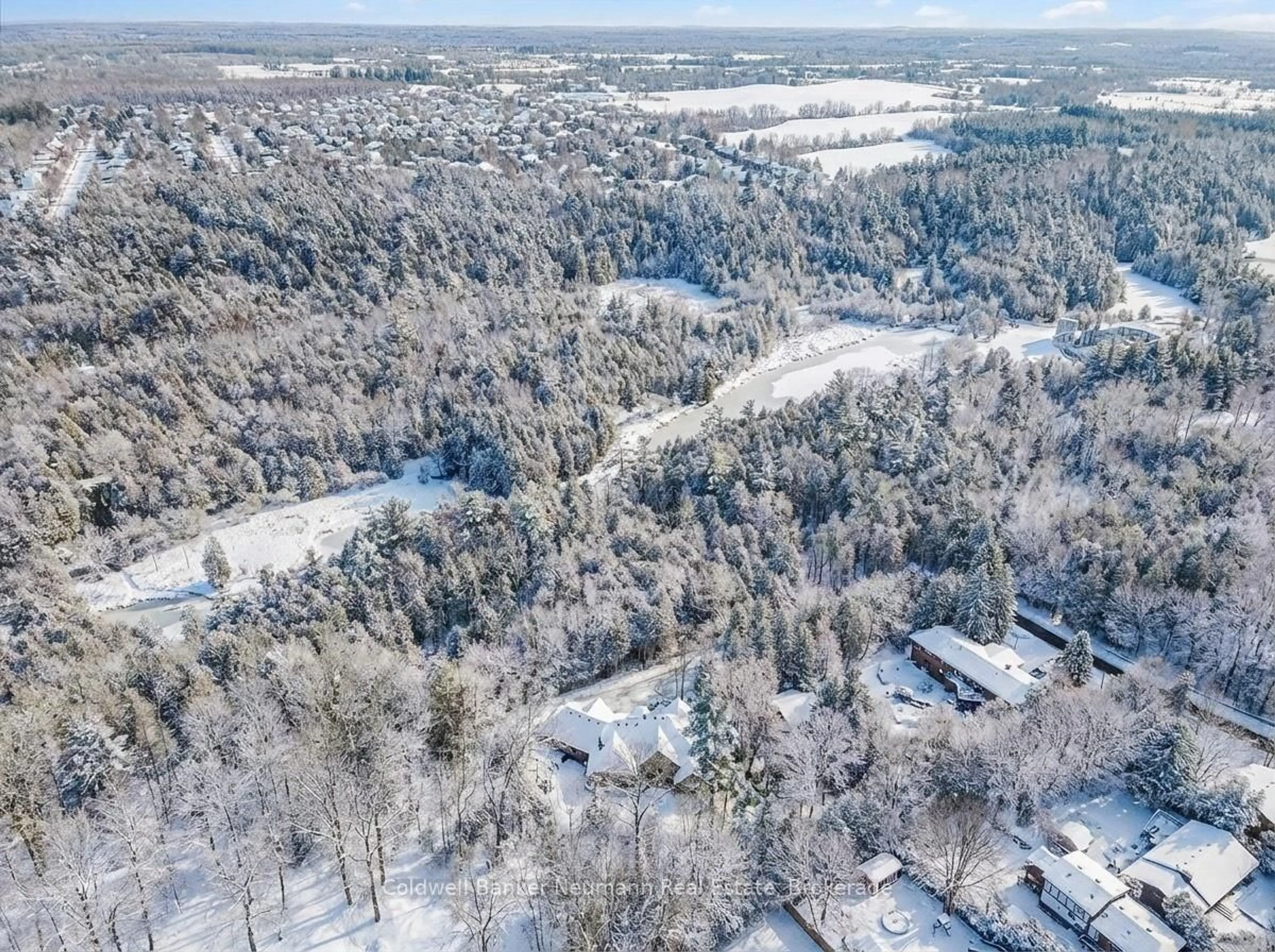 A pic from outside/outdoor area/front of a property/back of a property/a pic from drone, forest/trees view for 198 Pasmore St, Guelph/Eramosa Ontario N0B 2K0