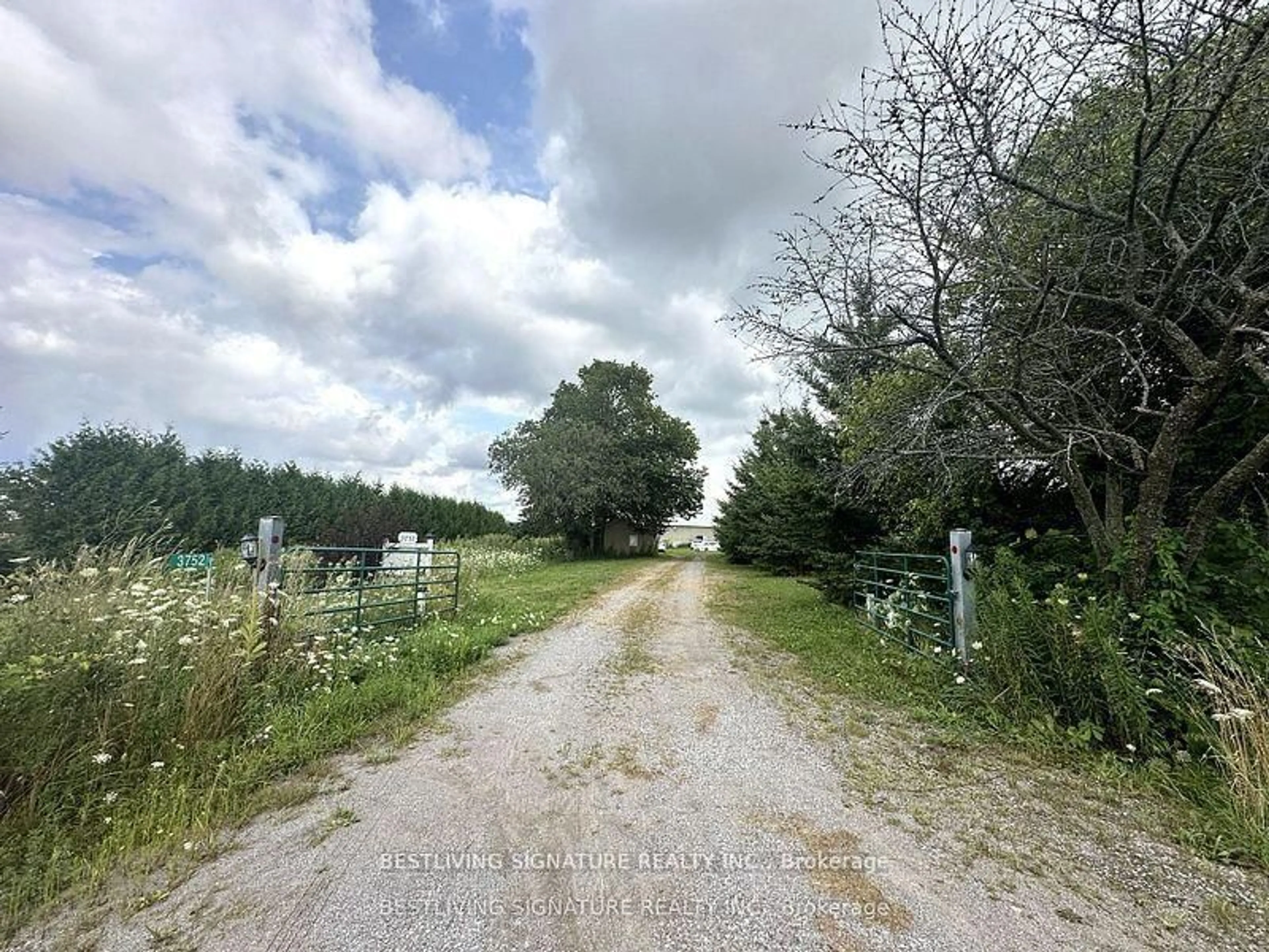 A pic from outside/outdoor area/front of a property/back of a property/a pic from drone, forest/trees view for 3752 Elm Tree Rd, Kawartha Lakes Ontario K0M 2B0