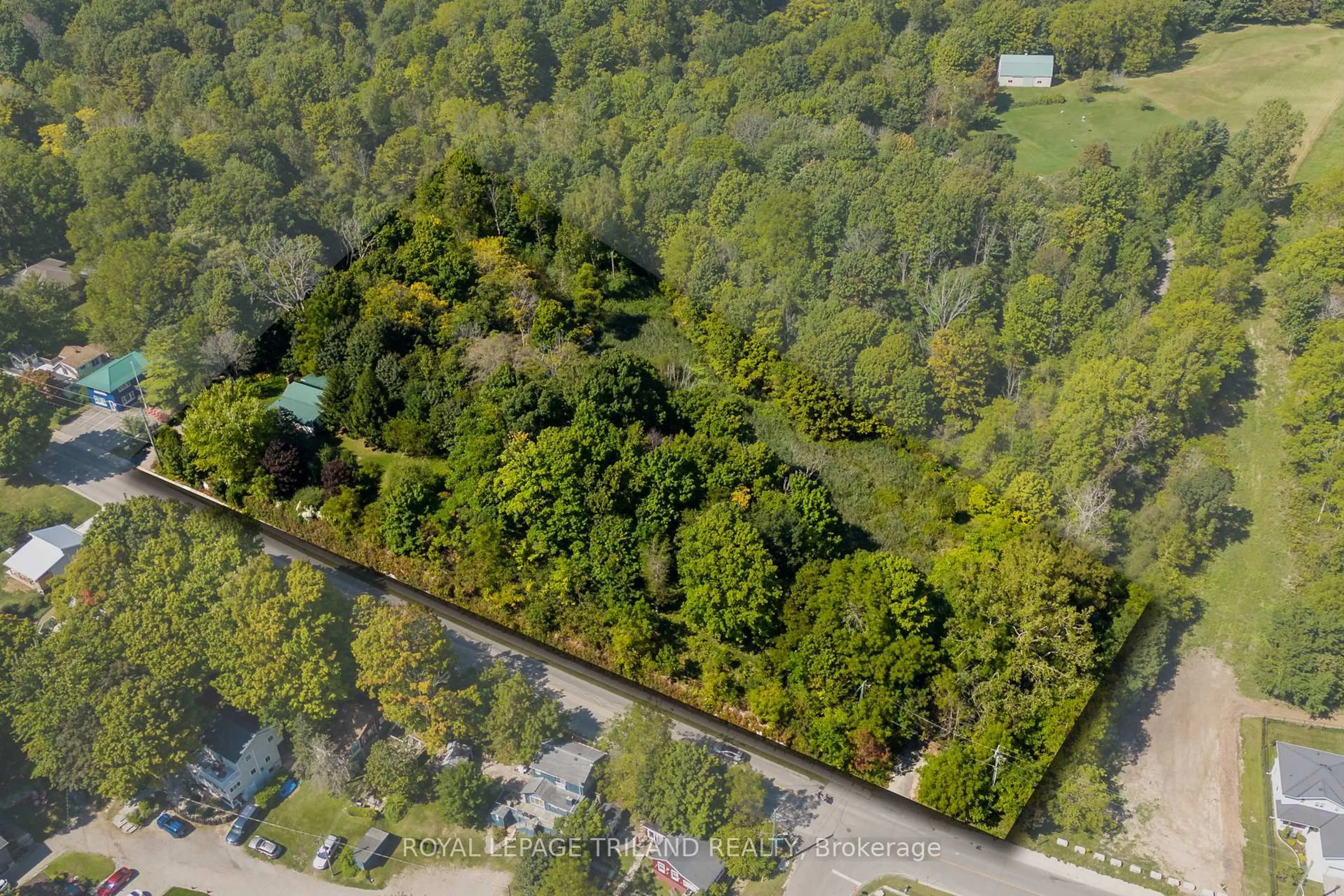 A pic from outside/outdoor area/front of a property/back of a property/a pic from drone, forest/trees view for 479 George St, Central Elgin Ontario N5L 1H1