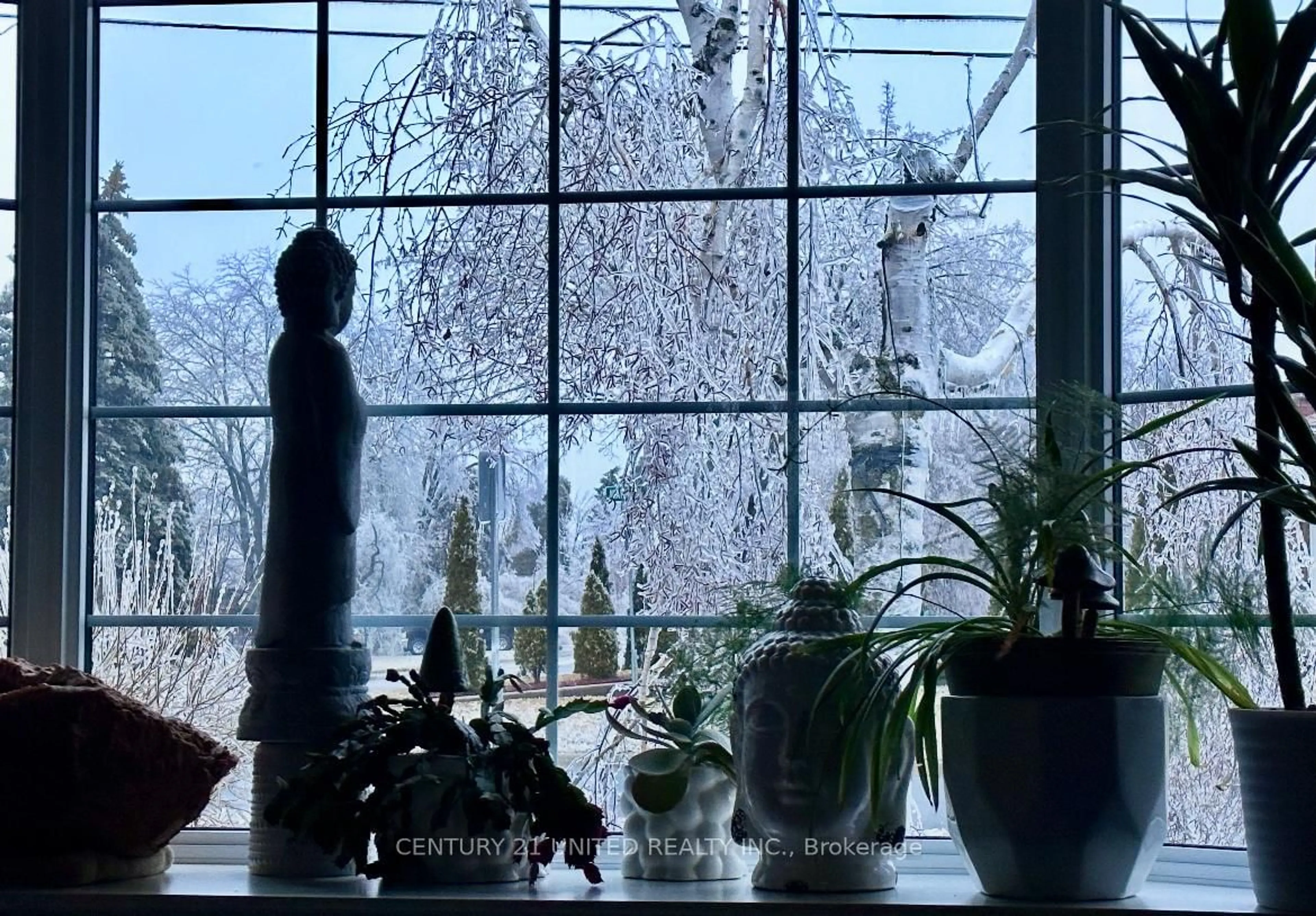 Unknown for 233 Market St, Trent Hills Ontario K0L 1L0