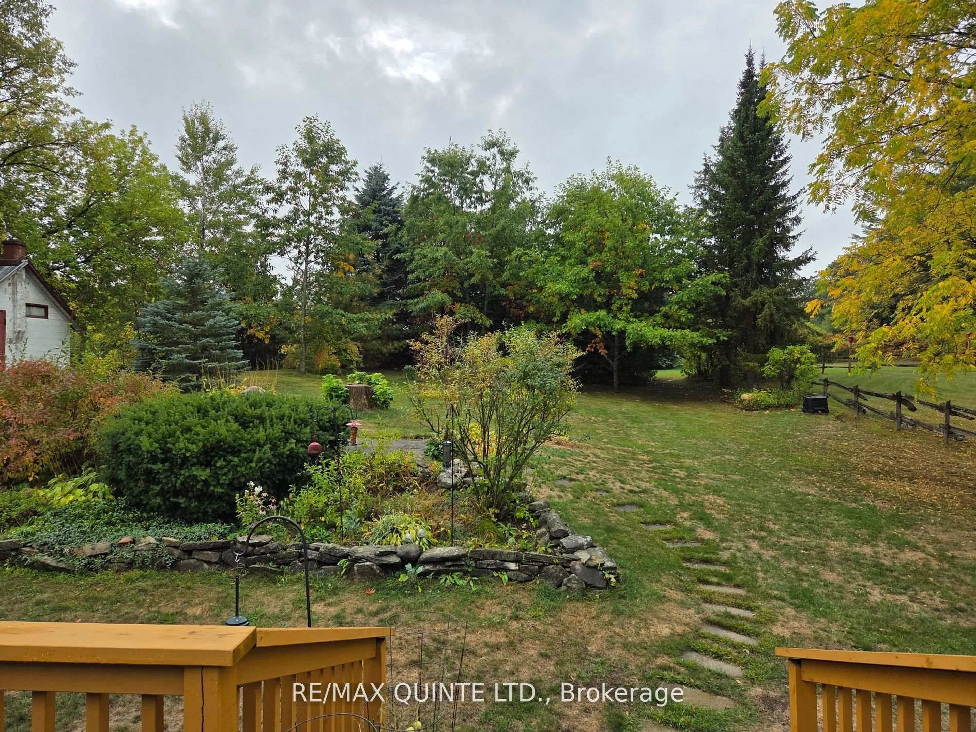 A pic from outside/outdoor area/front of a property/back of a property/a pic from drone, forest/trees view for 40 College St, Tweed Ontario K0K 3J0