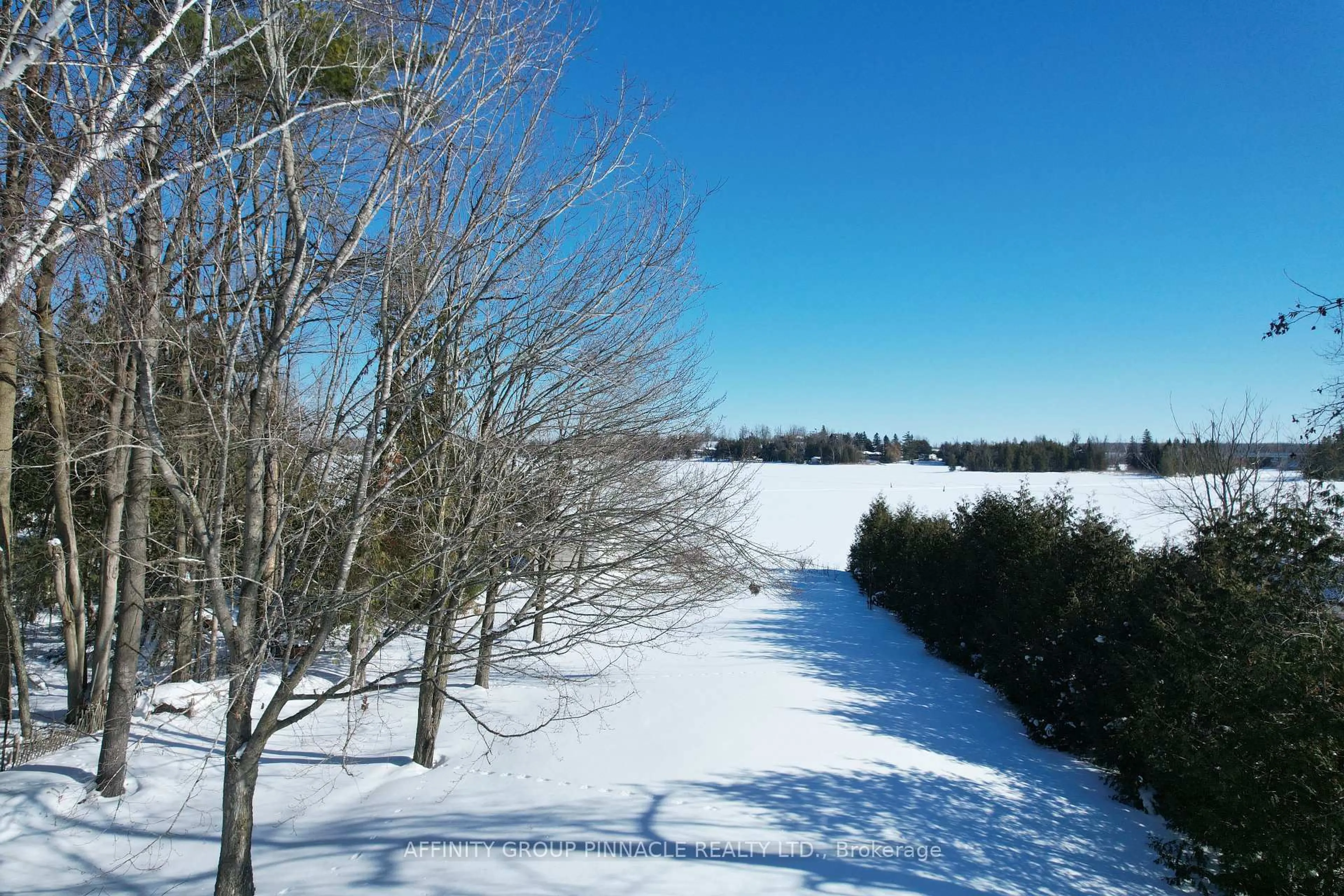 A pic from outside/outdoor area/front of a property/back of a property/a pic from drone, forest/trees view for 10 Ewen St, Kawartha Lakes Ontario K0M 2B0