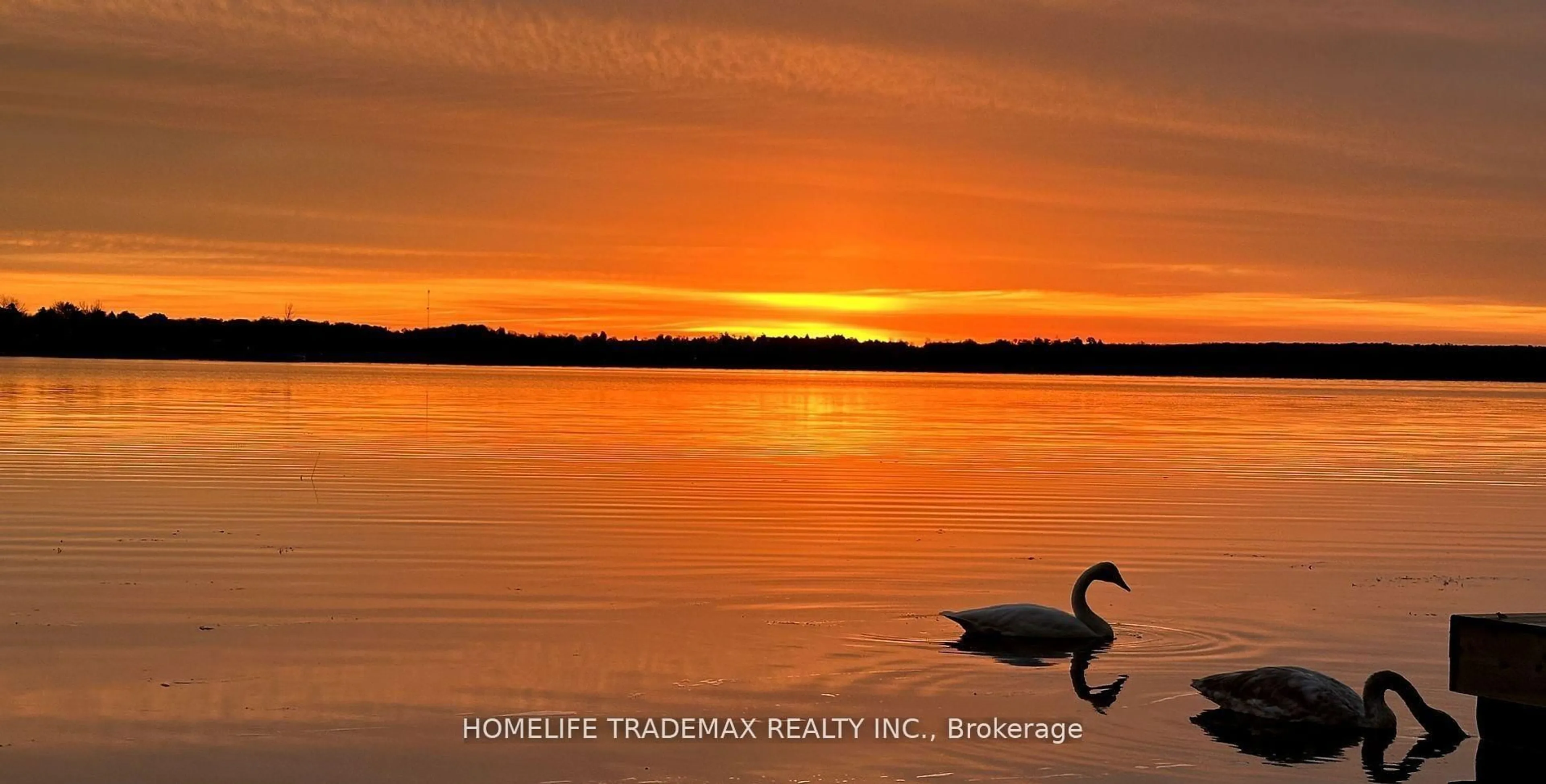 Blurry image for 65 Druan Dr, Kawartha Lakes Ontario L9L 1B6