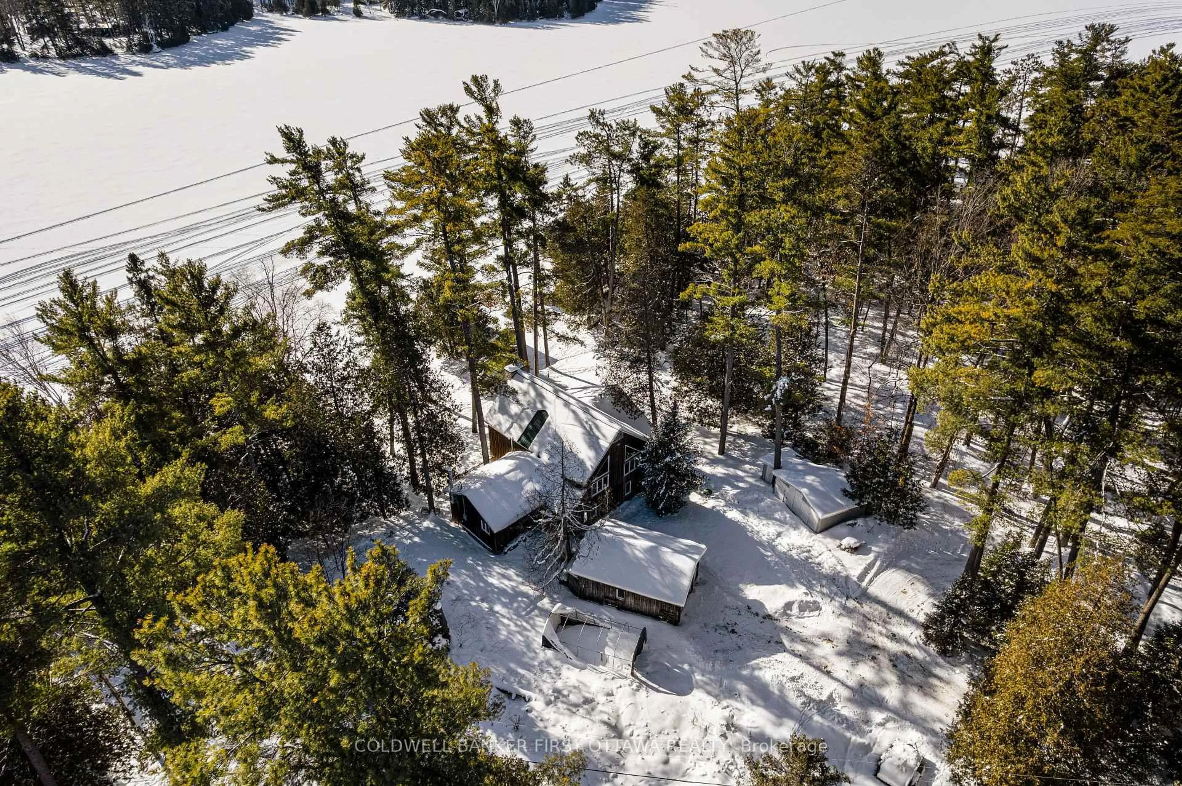 A pic from outside/outdoor area/front of a property/back of a property/a pic from drone, forest/trees view for 161 Keith's Bluff Rd, White Lake Ontario K0A 3L0