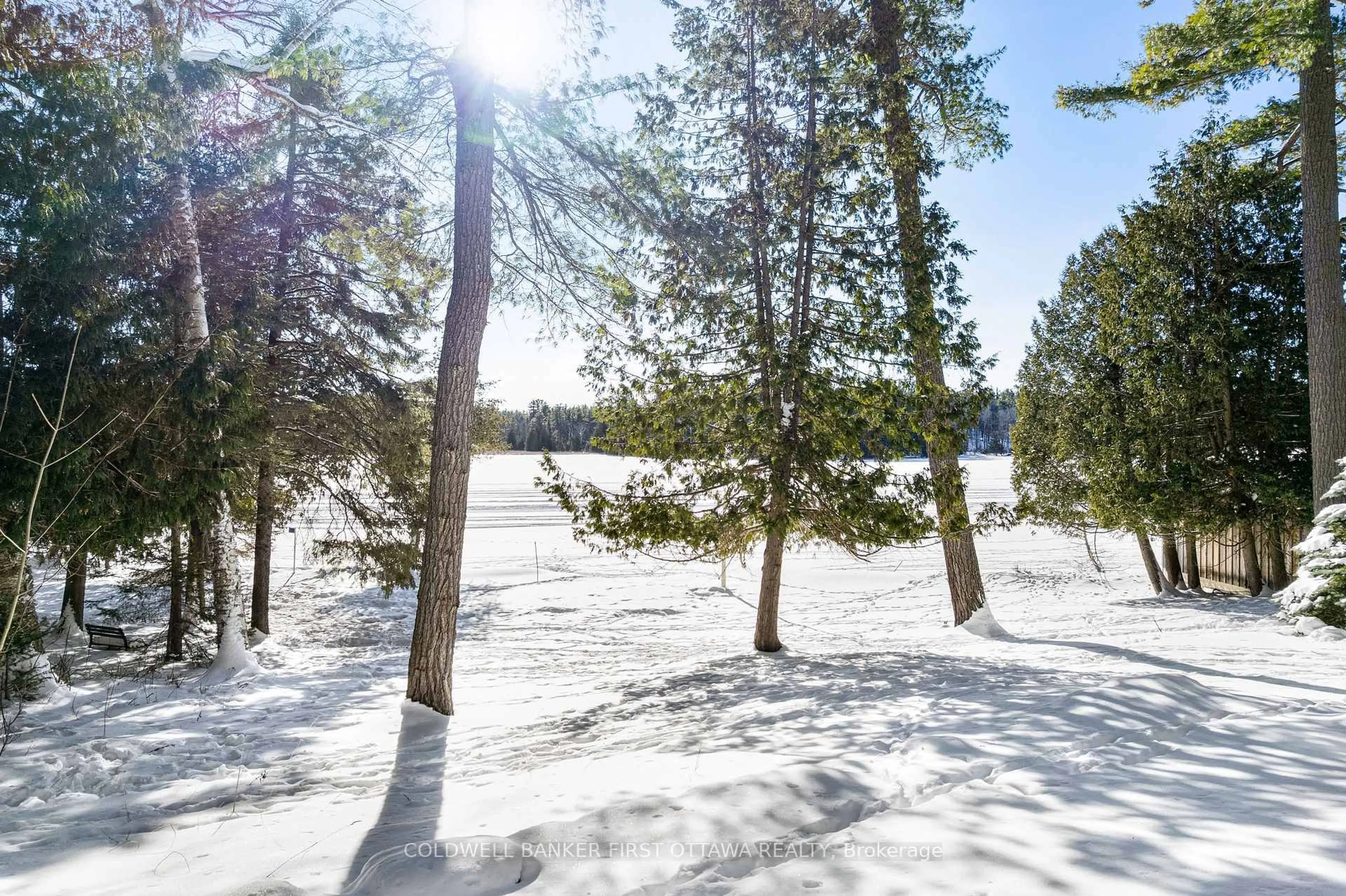 Patio, forest/trees view for 161 Keith's Bluff Rd, White Lake Ontario K0A 3L0