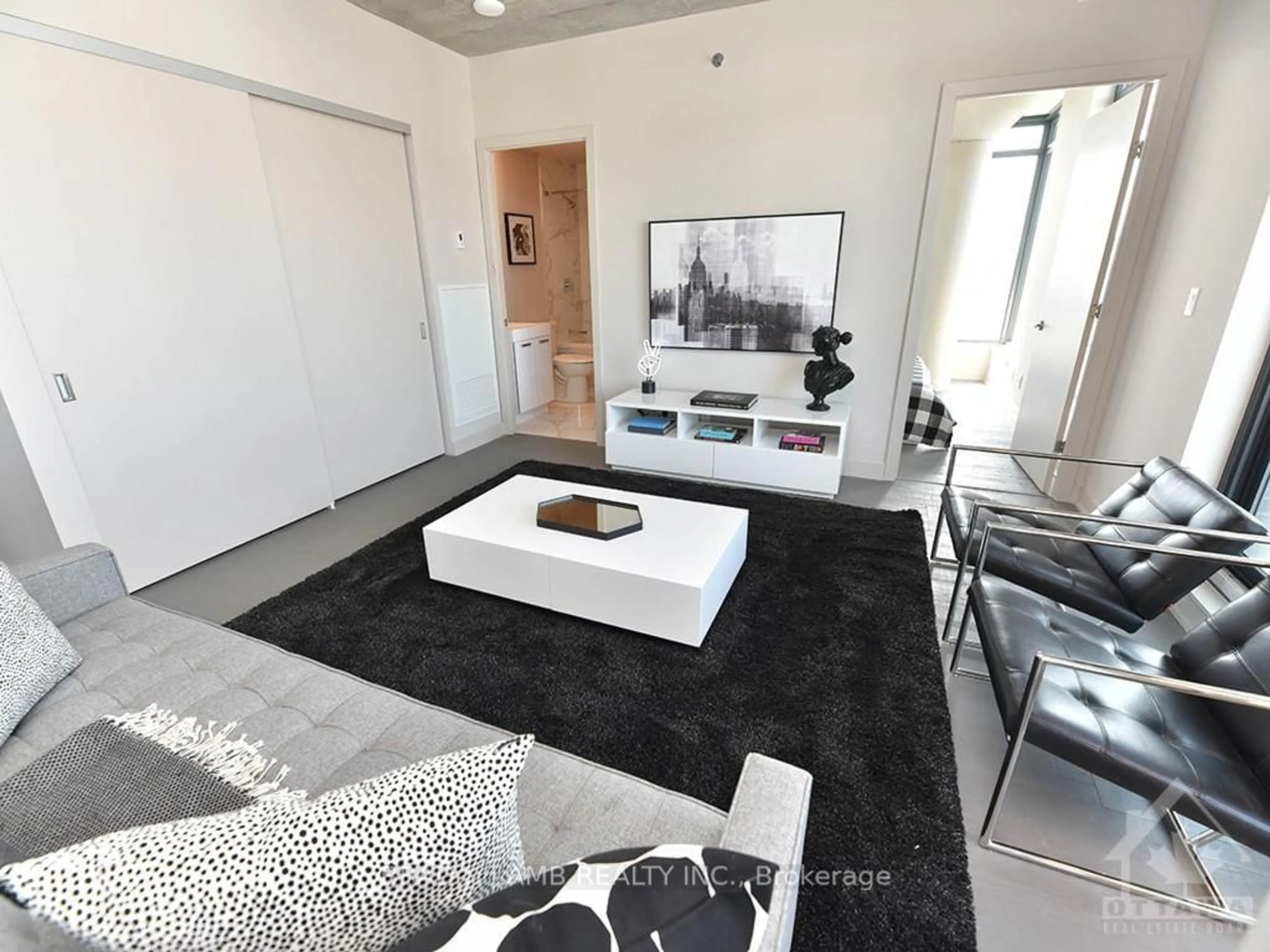 Living room with furniture, unknown for 203 CATHERINE St #314, Ottawa Ontario K2P 1C3