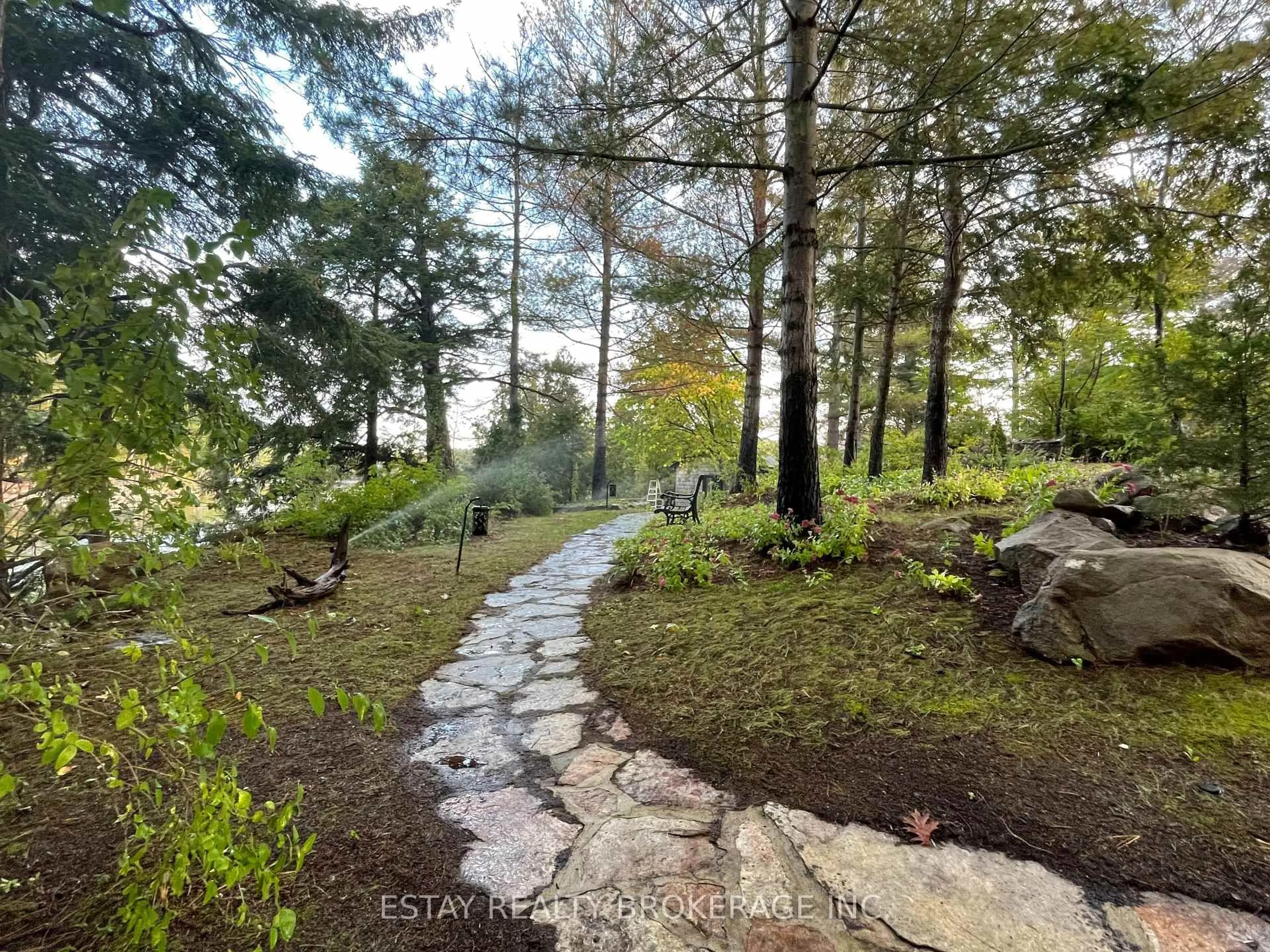 A pic from outside/outdoor area/front of a property/back of a property/a pic from drone, forest/trees view for 1 Island 60, Lansdowne Ontario K0E 1L0