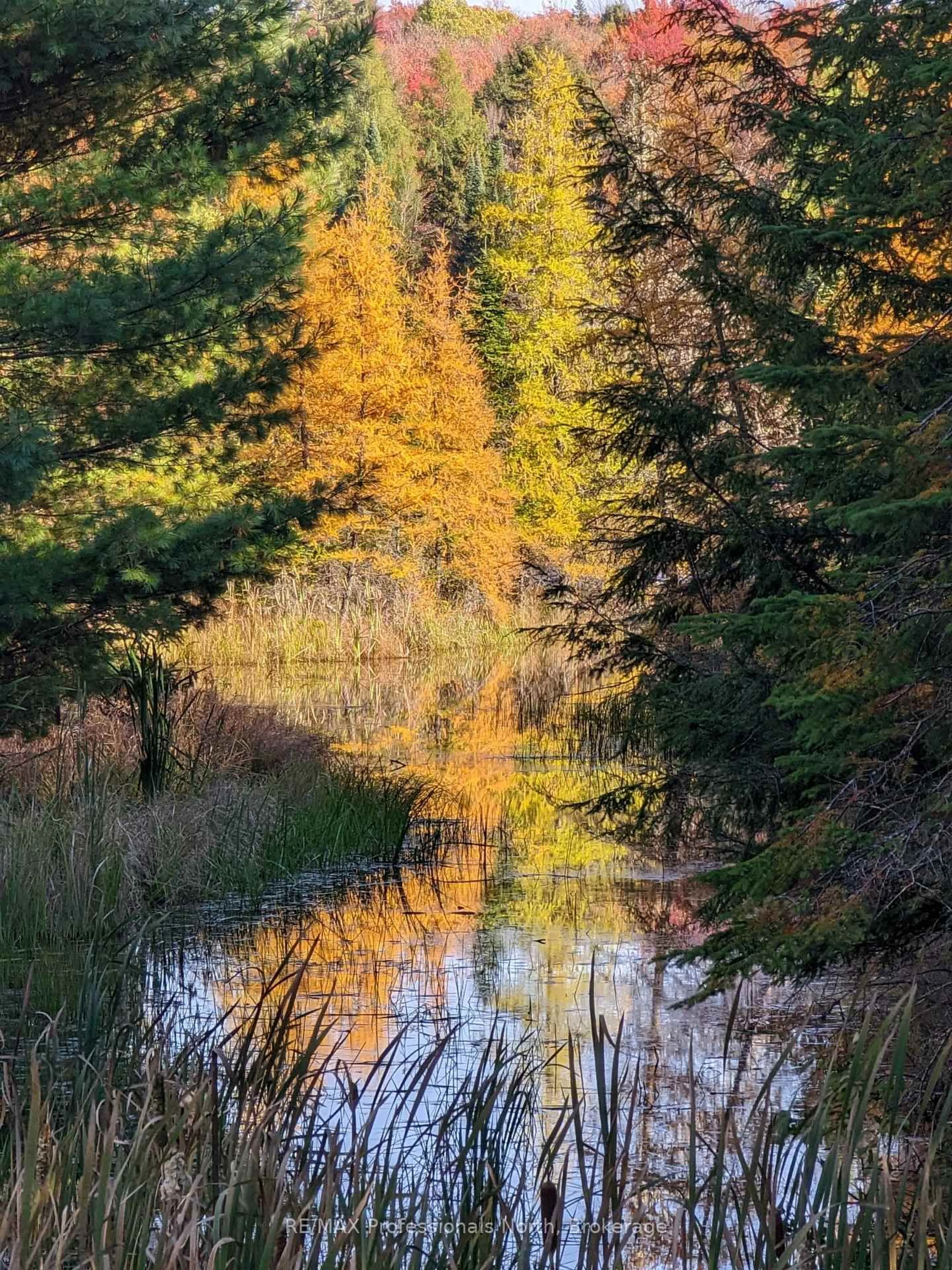 Blurry image for 2315 Aspdin Rd, Huntsville Ontario P0B 1M0