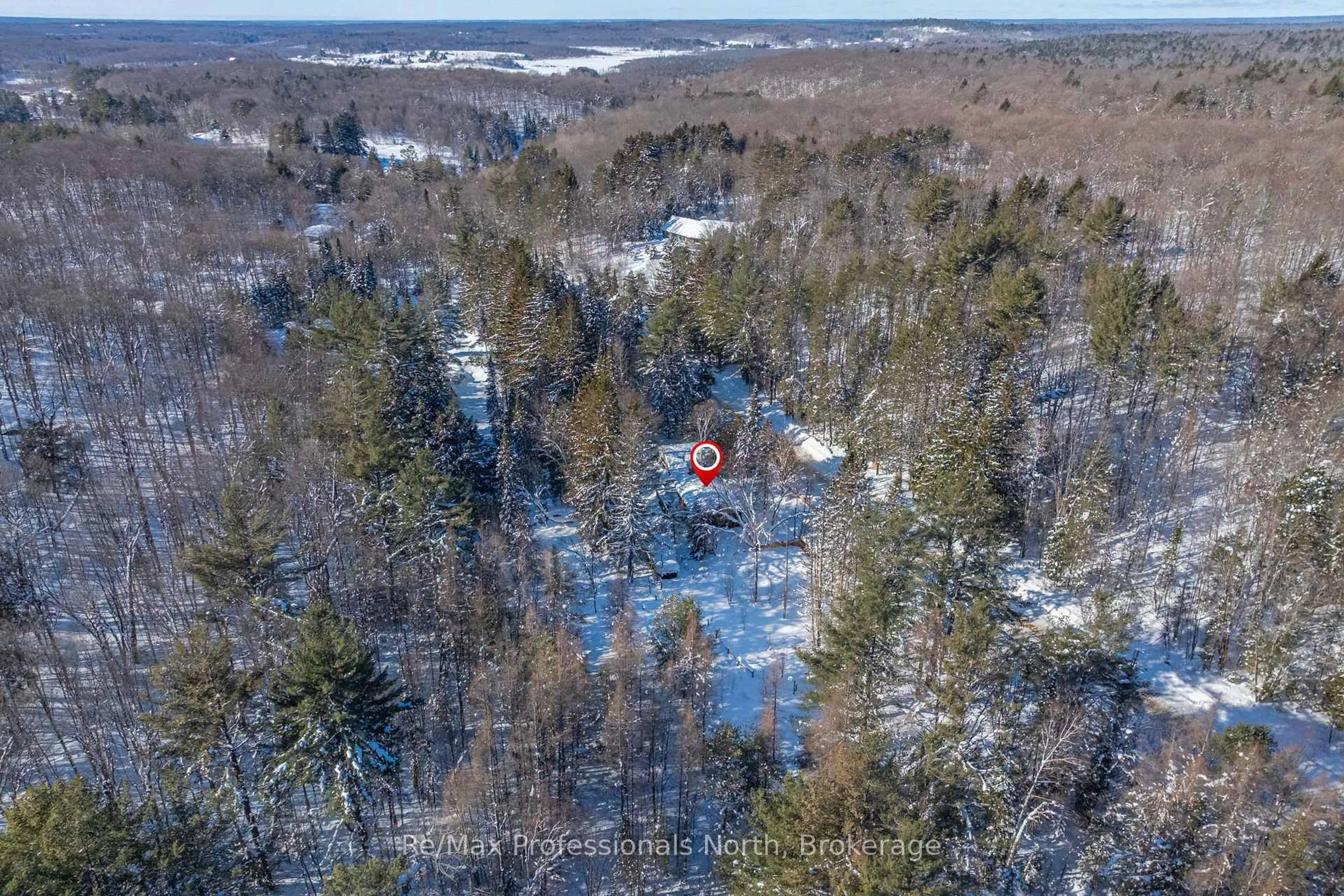 A pic from outside/outdoor area/front of a property/back of a property/a pic from drone, forest/trees view for 1465 Falkenburg Rd, Muskoka Lakes Ontario P1L 1X4