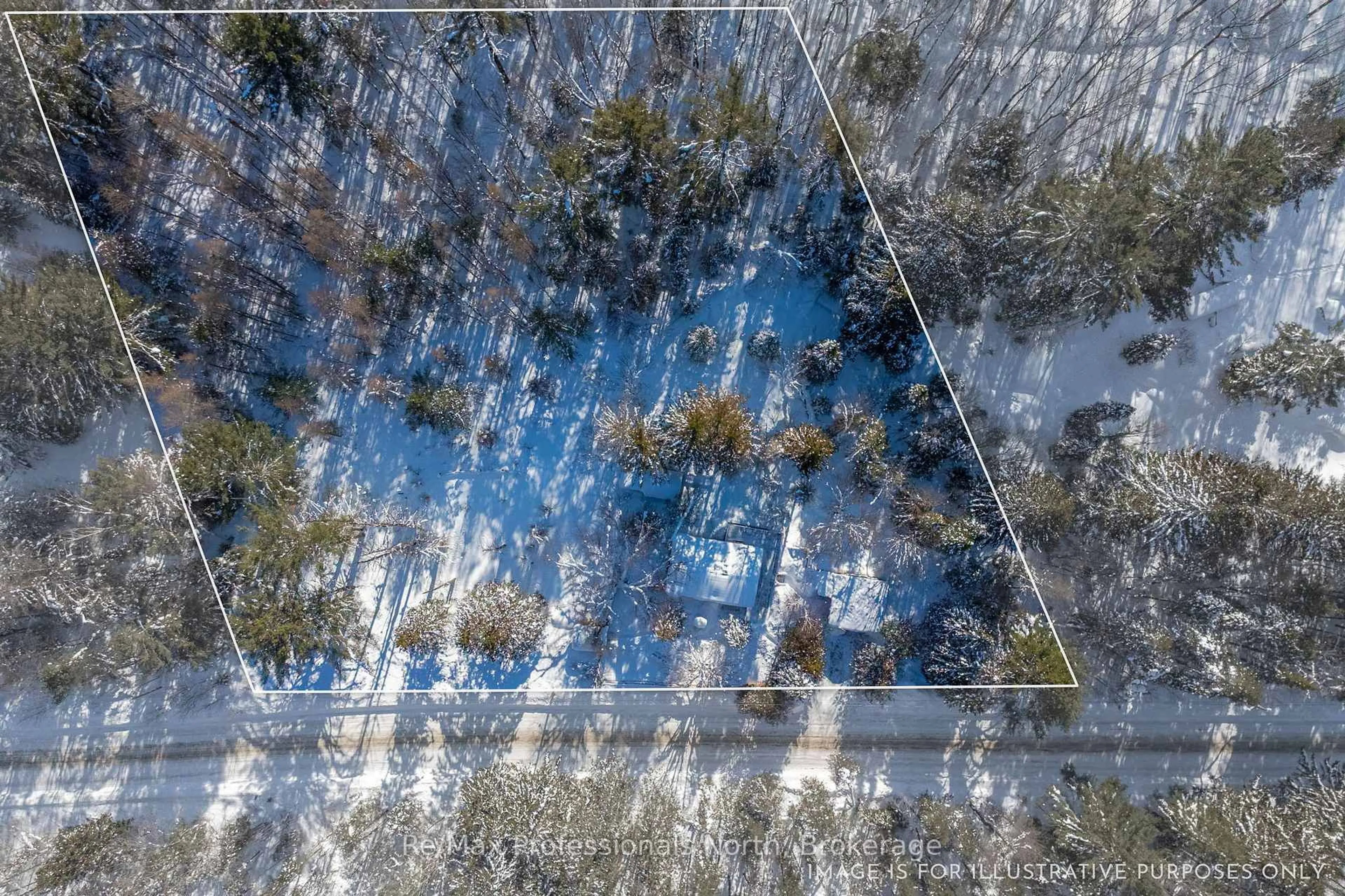 A pic from outside/outdoor area/front of a property/back of a property/a pic from drone, forest/trees view for 1465 Falkenburg Rd, Muskoka Lakes Ontario P1L 1X4
