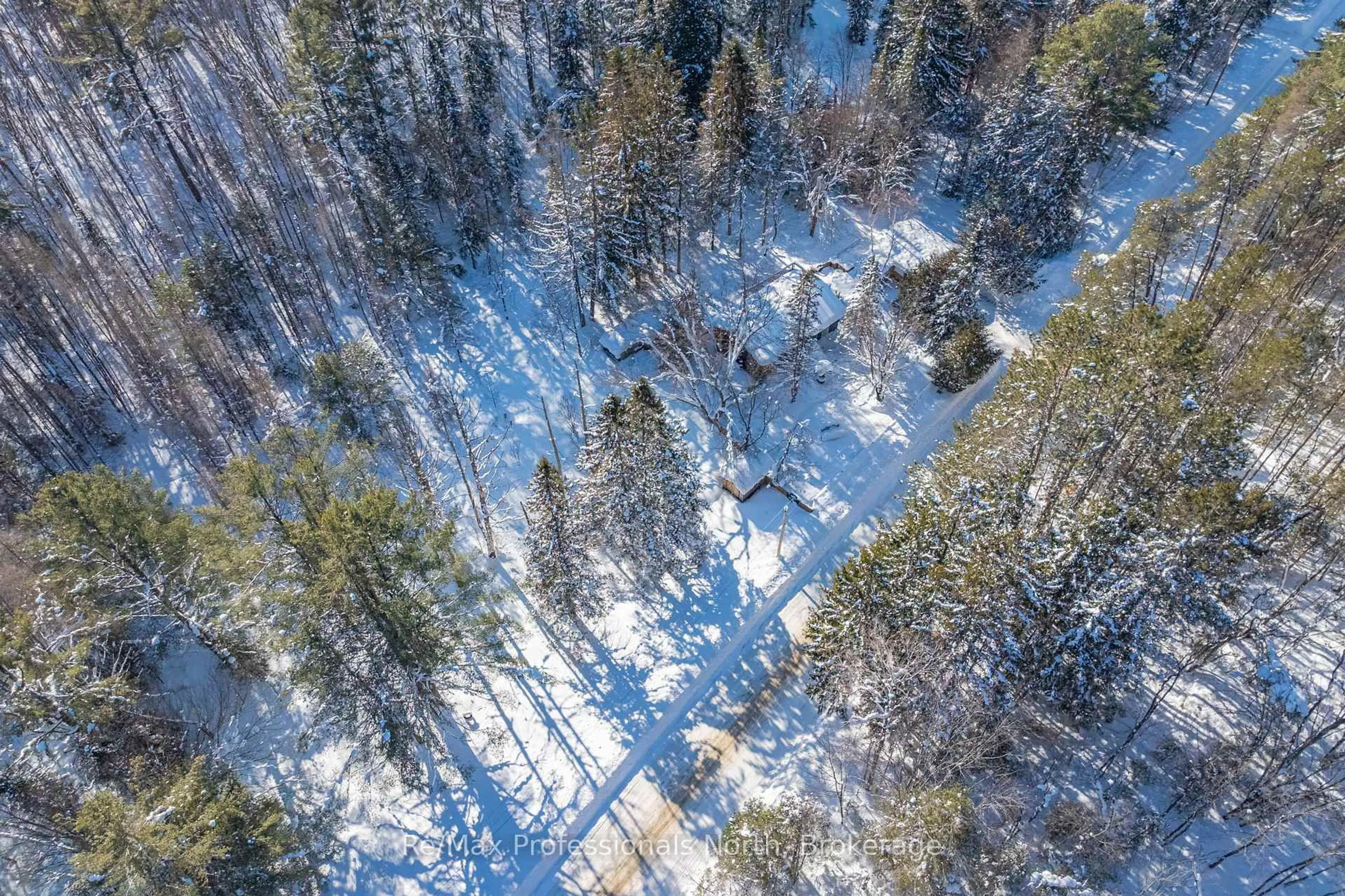 A pic from outside/outdoor area/front of a property/back of a property/a pic from drone, forest/trees view for 1465 Falkenburg Rd, Muskoka Lakes Ontario P1L 1X4
