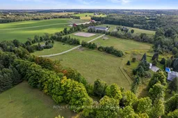 history photo preview