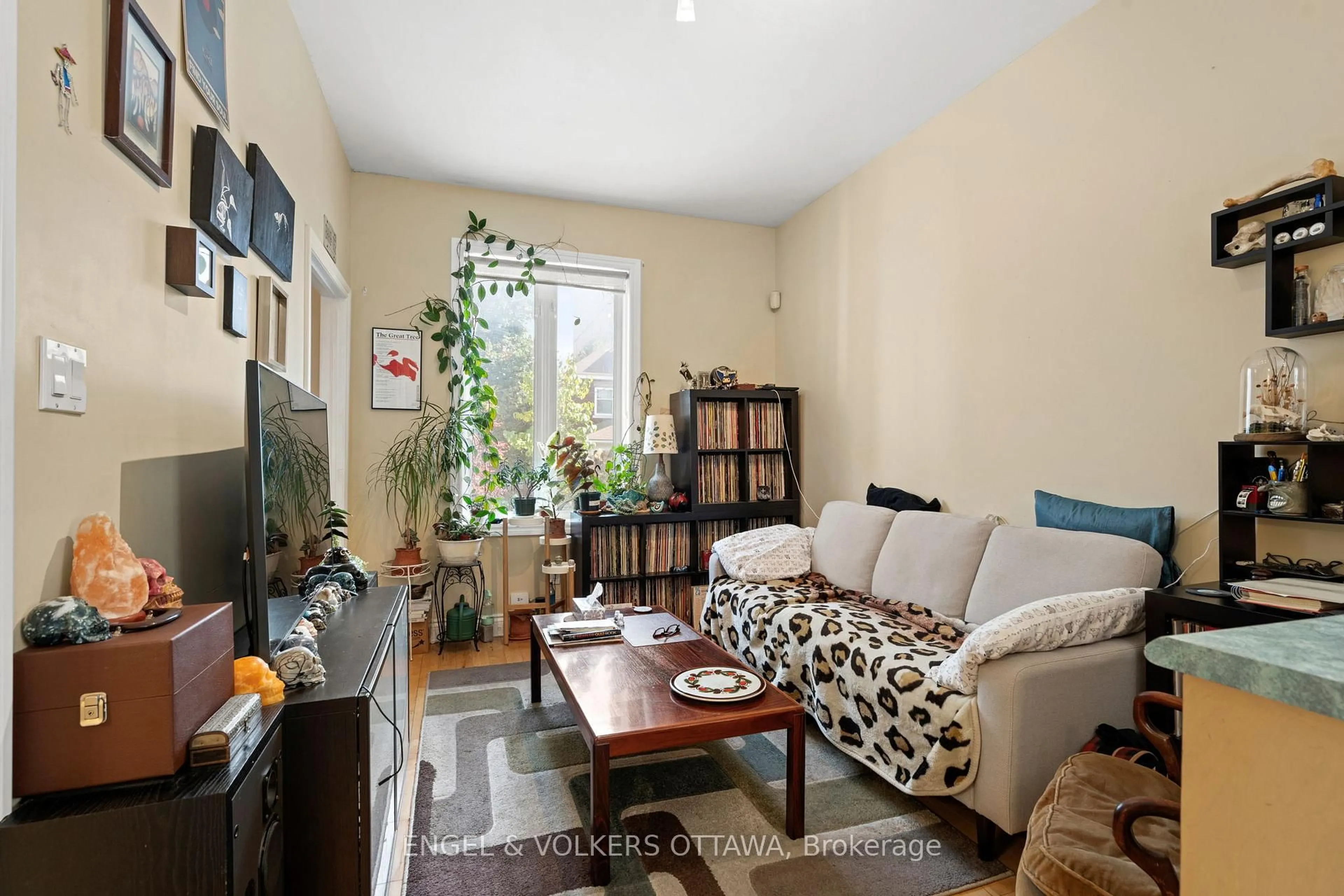 Living room with furniture, unknown for 116 Cambridge St #A & B, Ottawa Ontario K1R 7A7