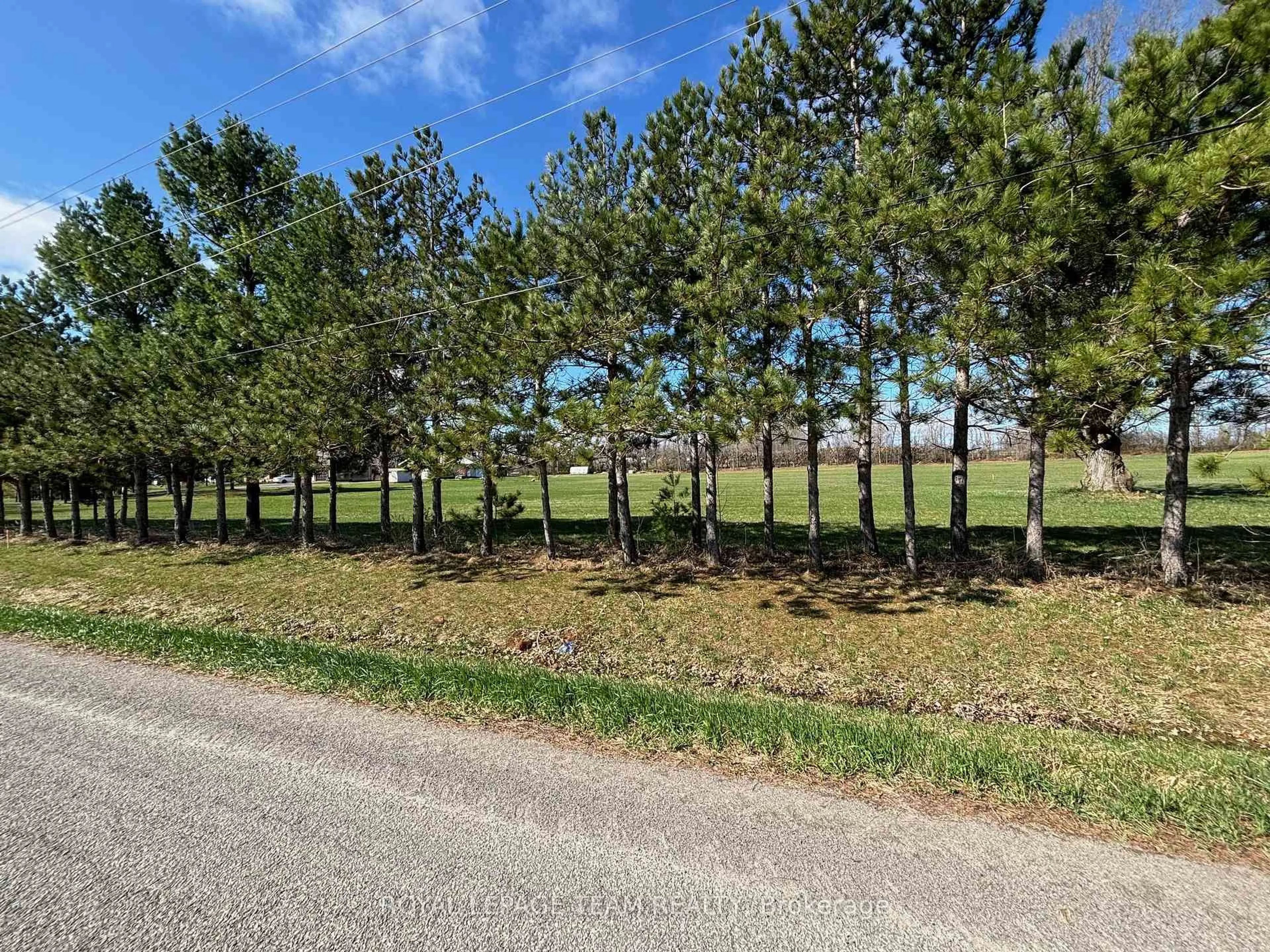 A pic from outside/outdoor area/front of a property/back of a property/a pic from drone, forest/trees view for 0000 Hurley Rd, Edwardsburgh/Cardinal Ontario K0E 1X0