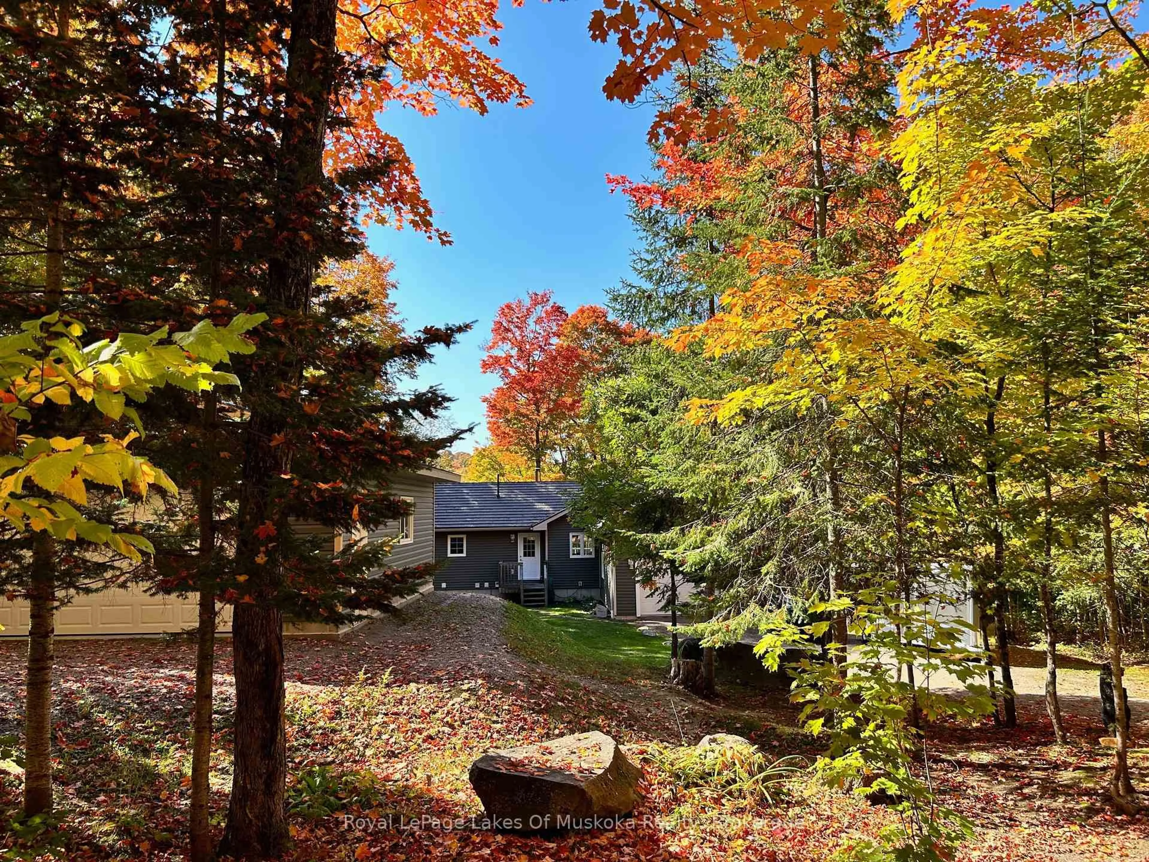A pic from outside/outdoor area/front of a property/back of a property/a pic from drone, forest/trees view for 340 Wurm Rd, Magnetawan Ontario P0A 1P0