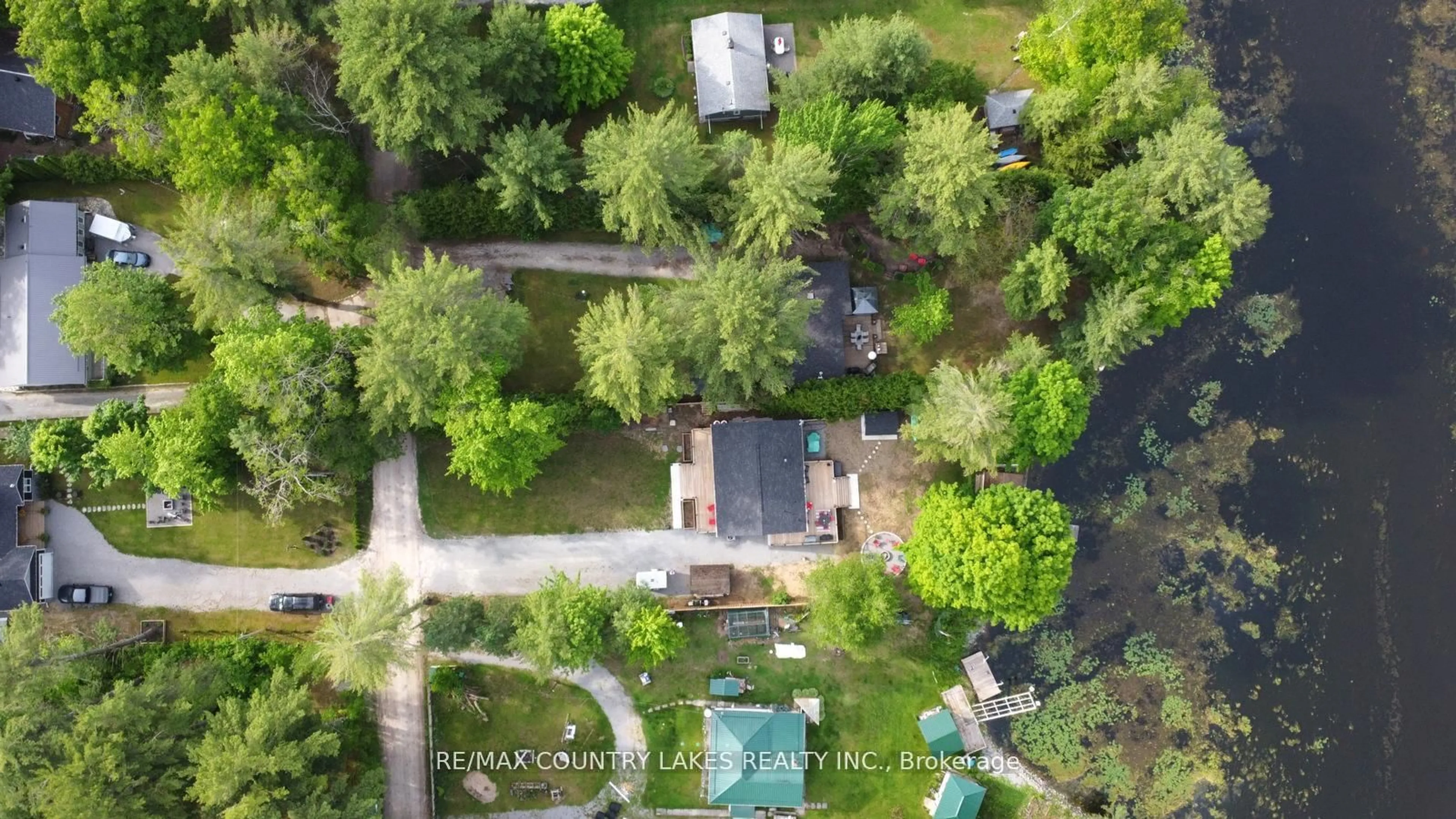 A pic from outside/outdoor area/front of a property/back of a property/a pic from drone, forest/trees view for 113 Stanley Rd, Kawartha Lakes Ontario K0M 2T0