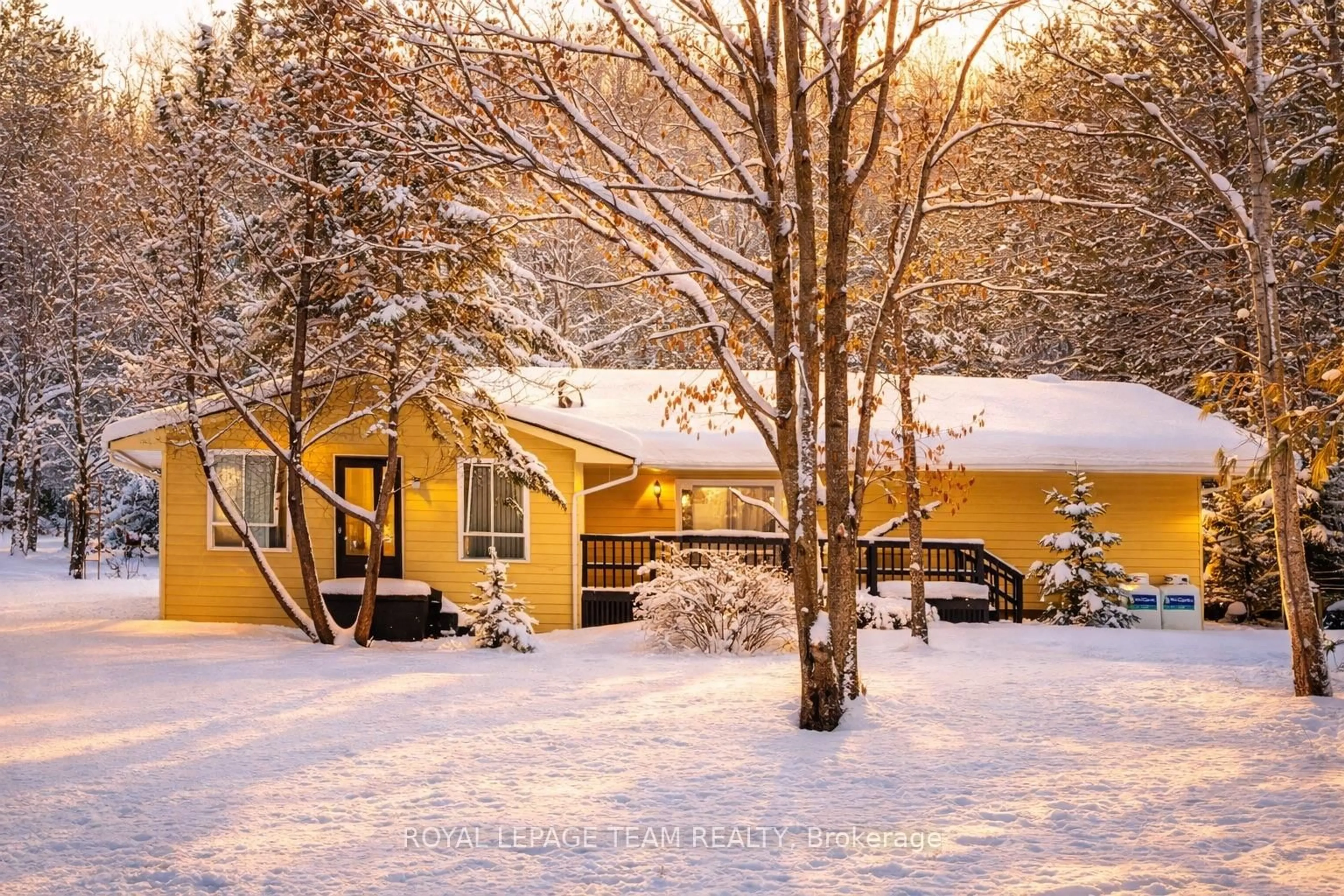 Patio, street for 4 MURCHISON Rd, South Algonquin Ontario K0J 2C0