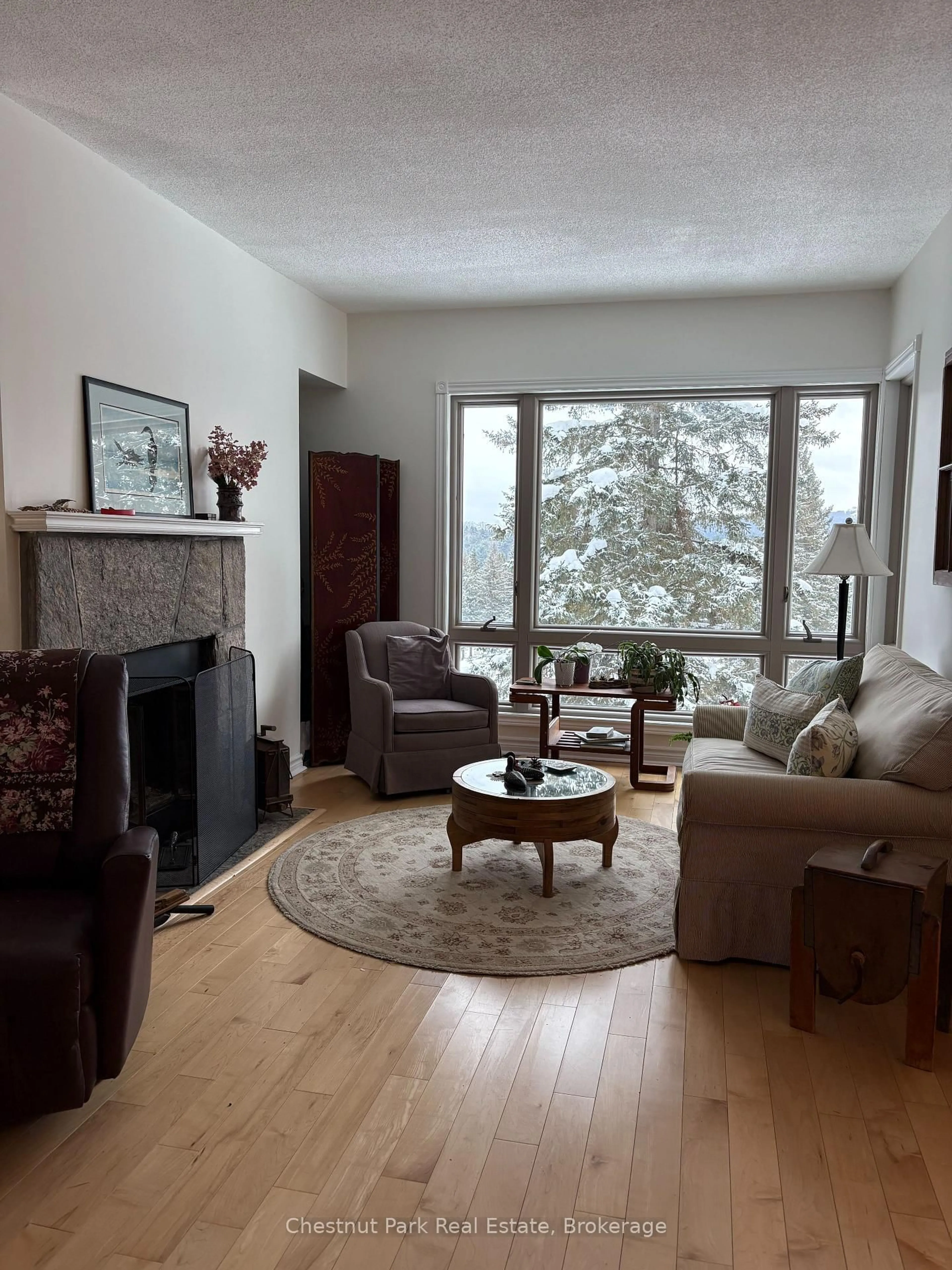 Living room with furniture, unknown for 3421 Grandview Forest Hill Dr #5, Huntsville Ontario P1H 2J5