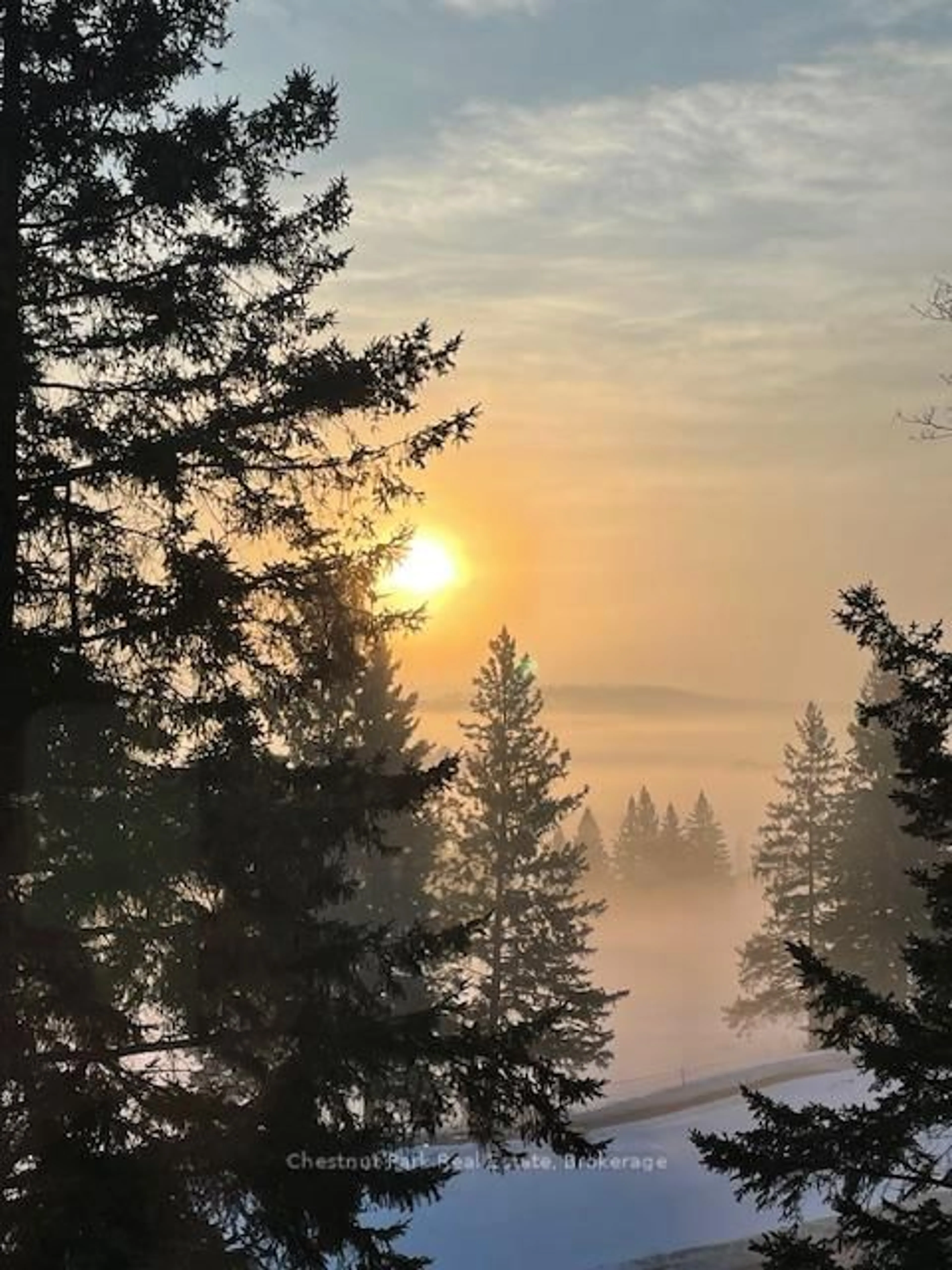 A pic of a room for 3421 Grandview Forest Hill Dr #5, Huntsville Ontario P1H 2J5