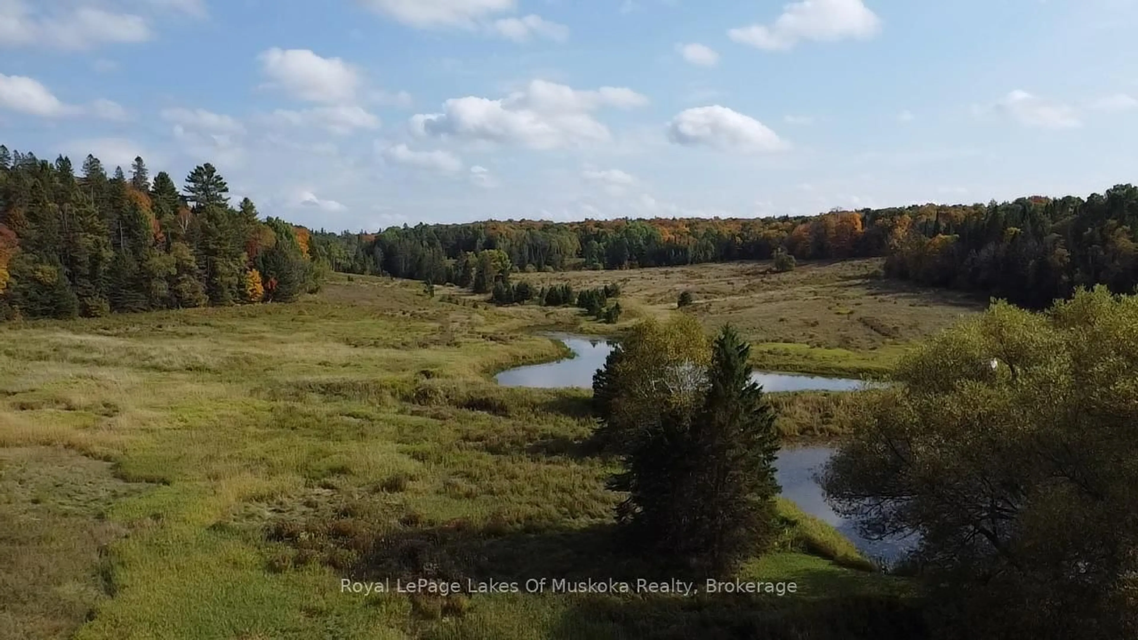 Blurry image for 1524 Hekkla Rd, Muskoka Lakes Ontario P0C 1J0