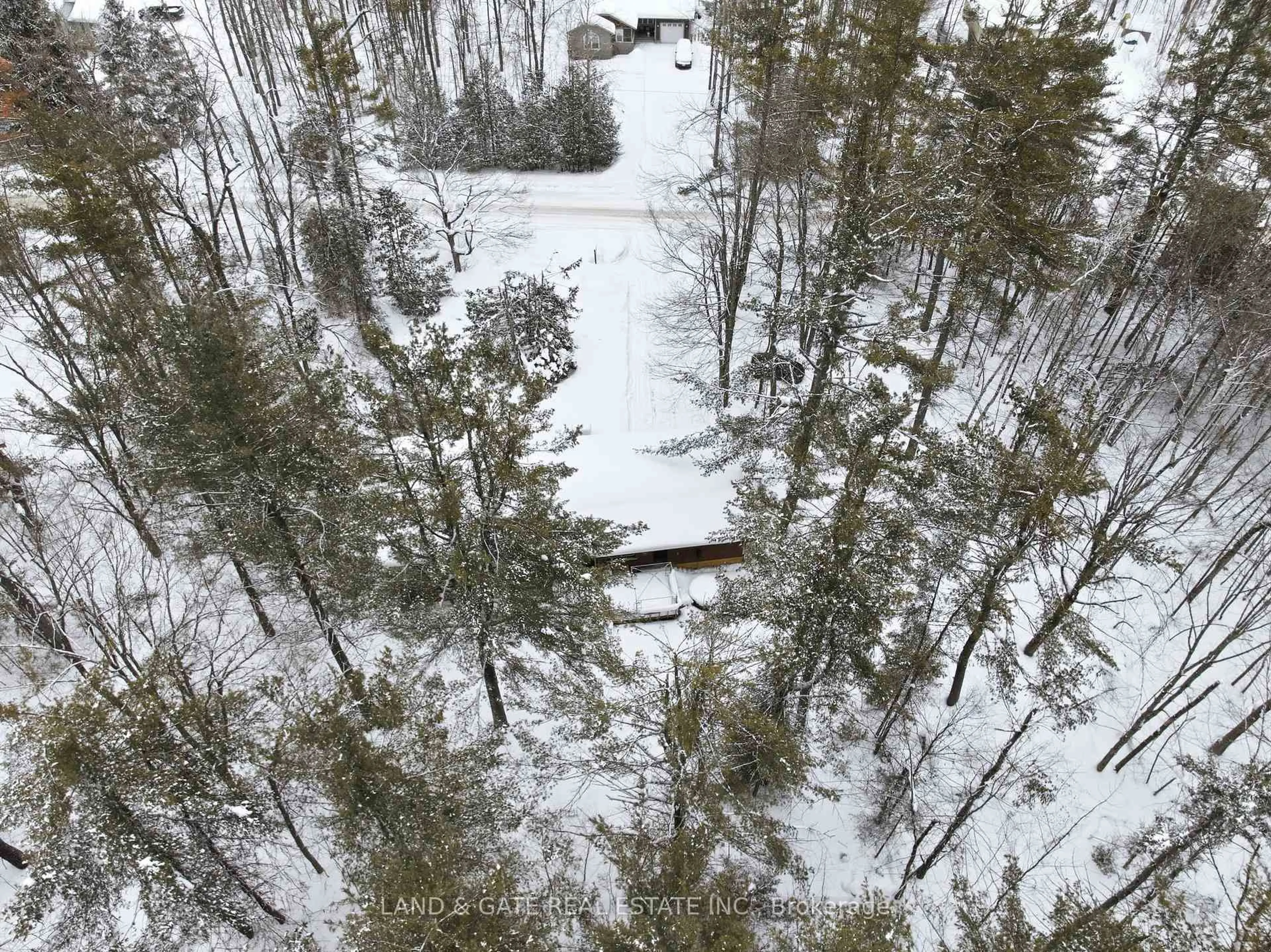 A pic from outside/outdoor area/front of a property/back of a property/a pic from drone, forest/trees view for 40 Melody Bay Rd, Trent Lakes Ontario K0L 1J0