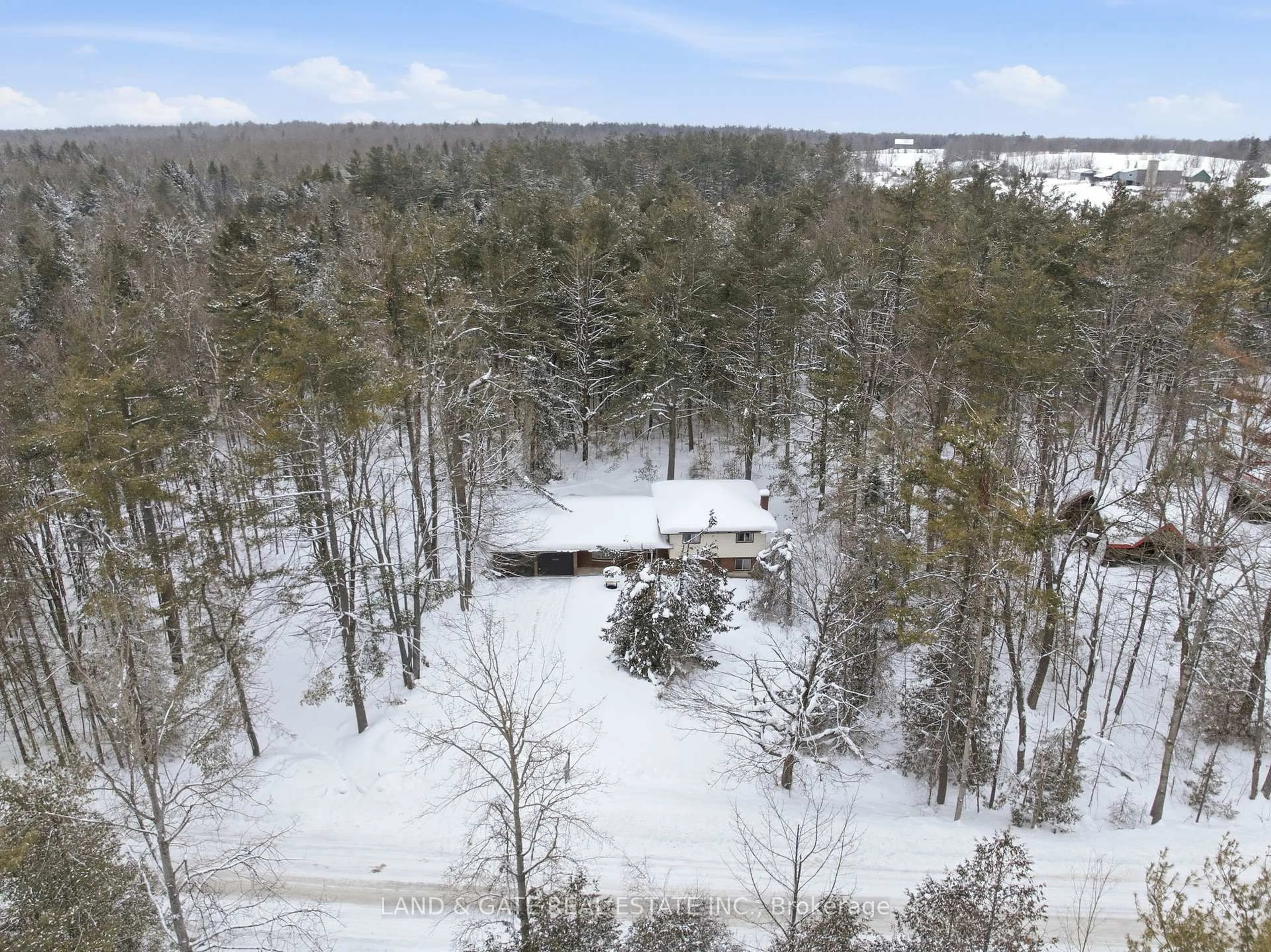 A pic from outside/outdoor area/front of a property/back of a property/a pic from drone, forest/trees view for 40 Melody Bay Rd, Trent Lakes Ontario K0L 1J0